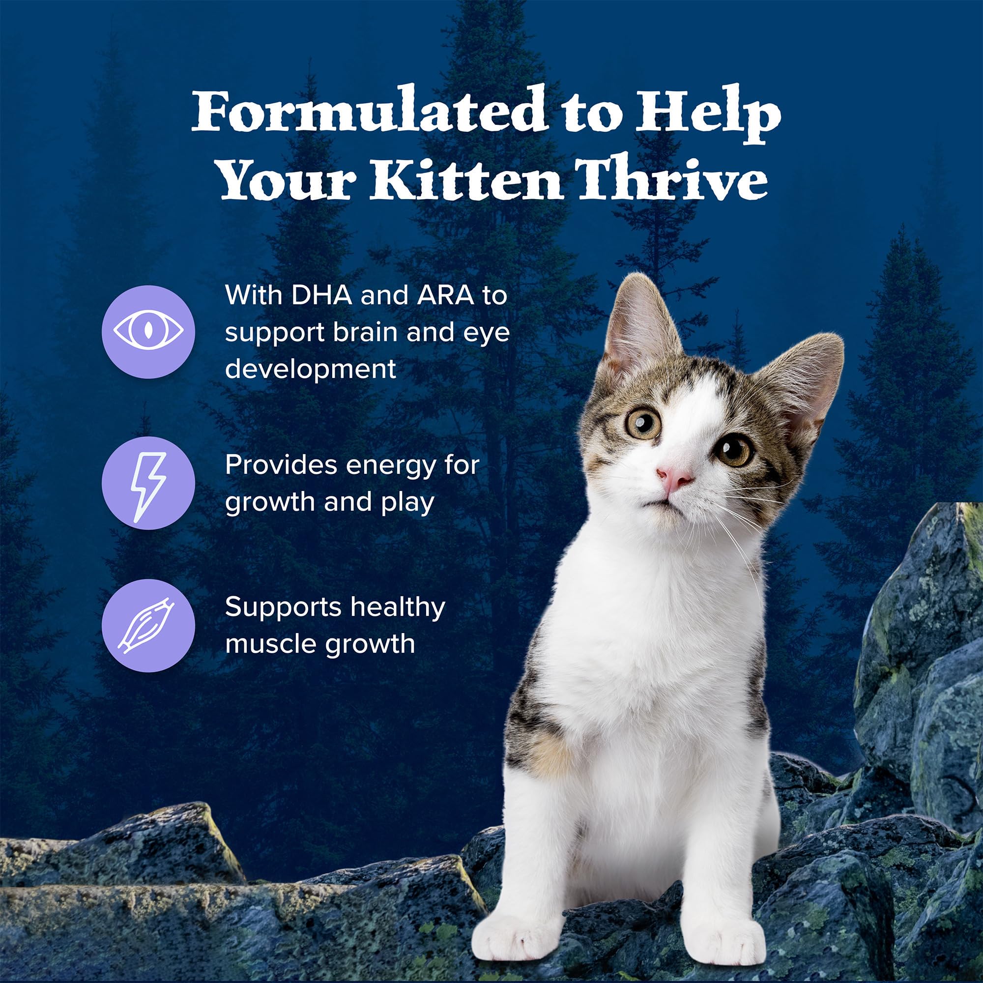 Blue Buffalo Wilderness Natural Kitten Dry Cat Food, with DHA and ARA to Support Brain and Eye Development, High-Protein and Gra