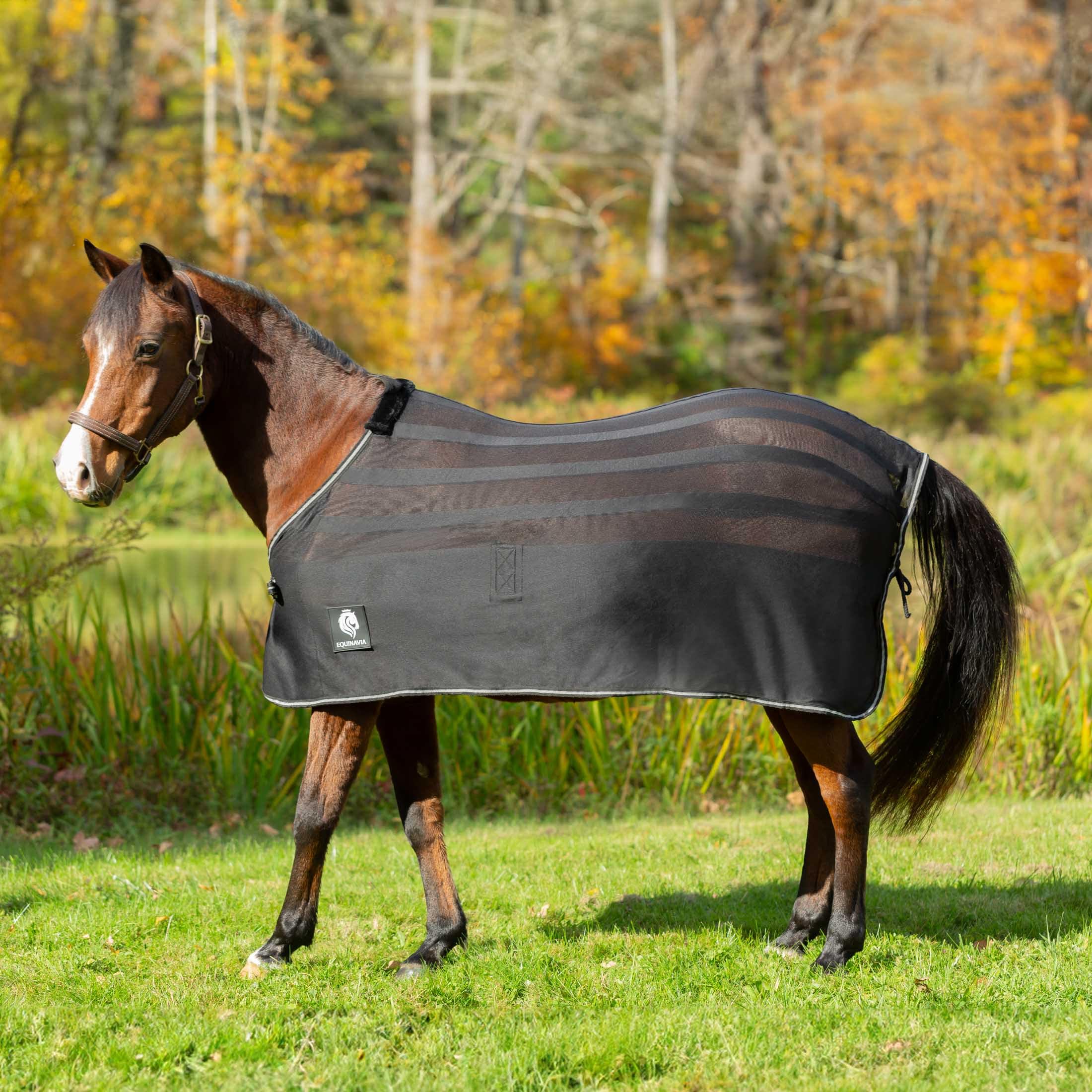 Equinavia Sefyr Breathable Lightweight Cooling Scrim Sheet - Black - S