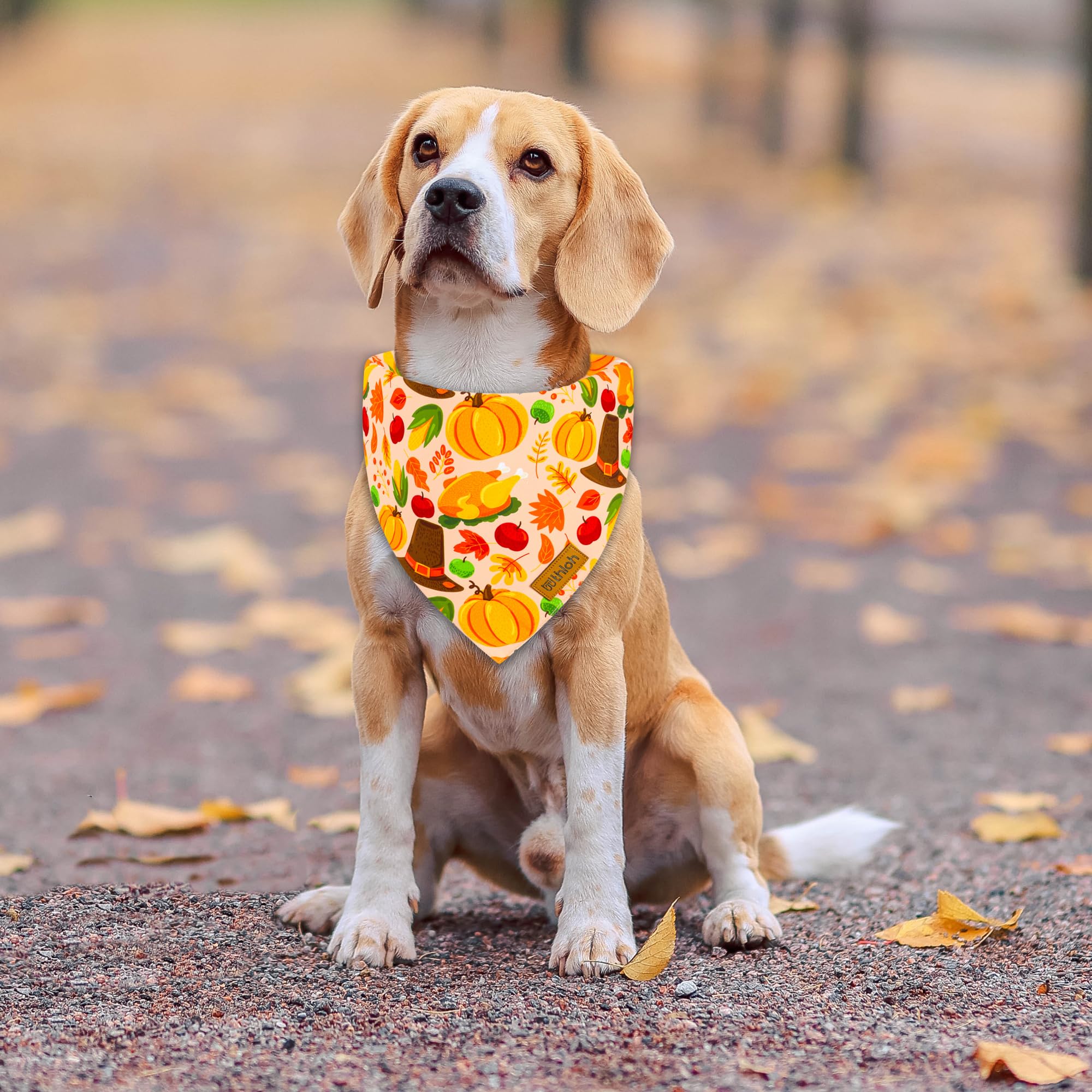 Thloh Thanksgiving Dog Bandanas - 2 Pack Reversible Fall Dog Scarf For Boy & Girl, Premium Durable Fabric, Autumn Bandana For Me