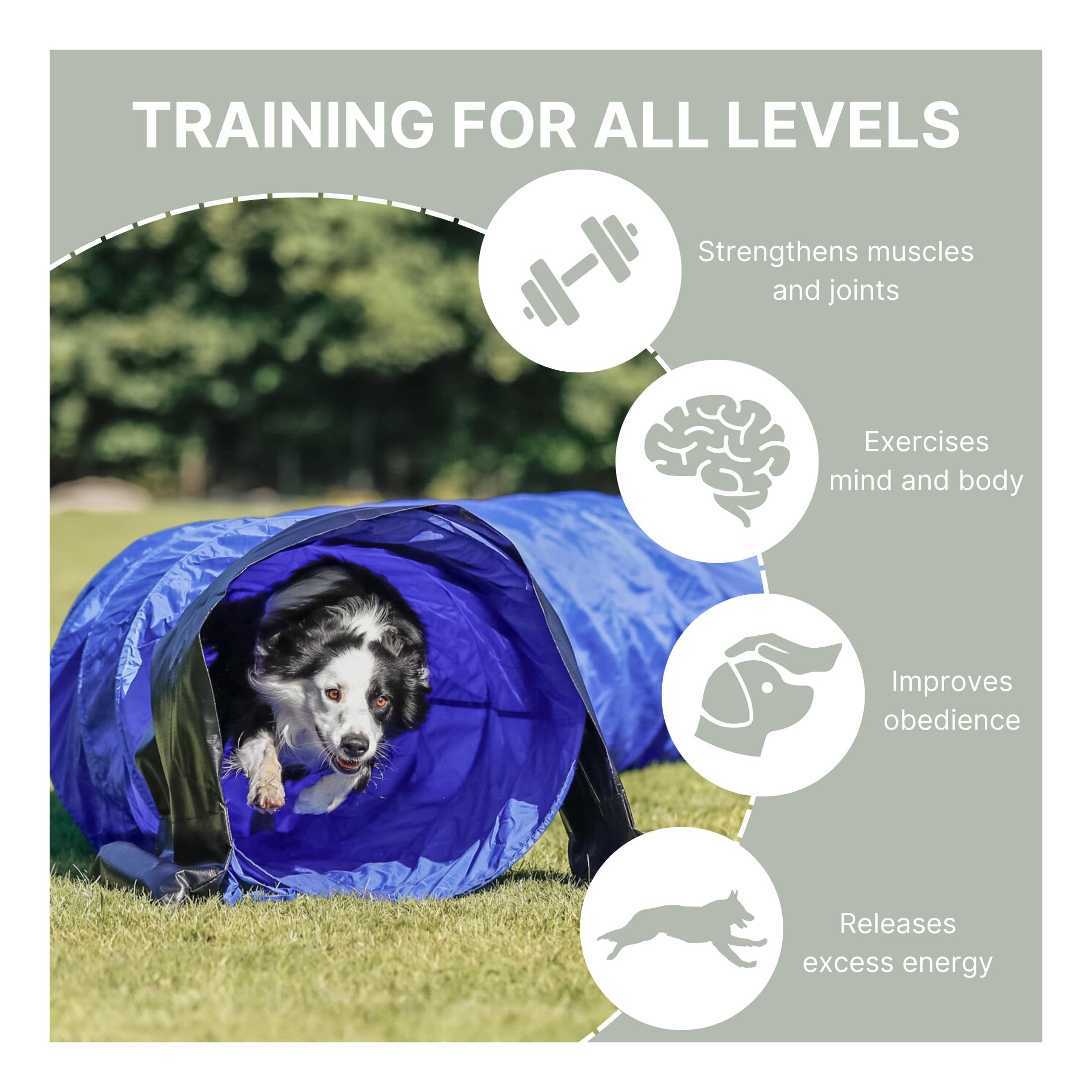 TRIXIE Dog Agility Tunnel - Portable 196.9" Long, 23.6" Diameter, Blue Polyester Training Equipment for Large Dogs, Model 3211