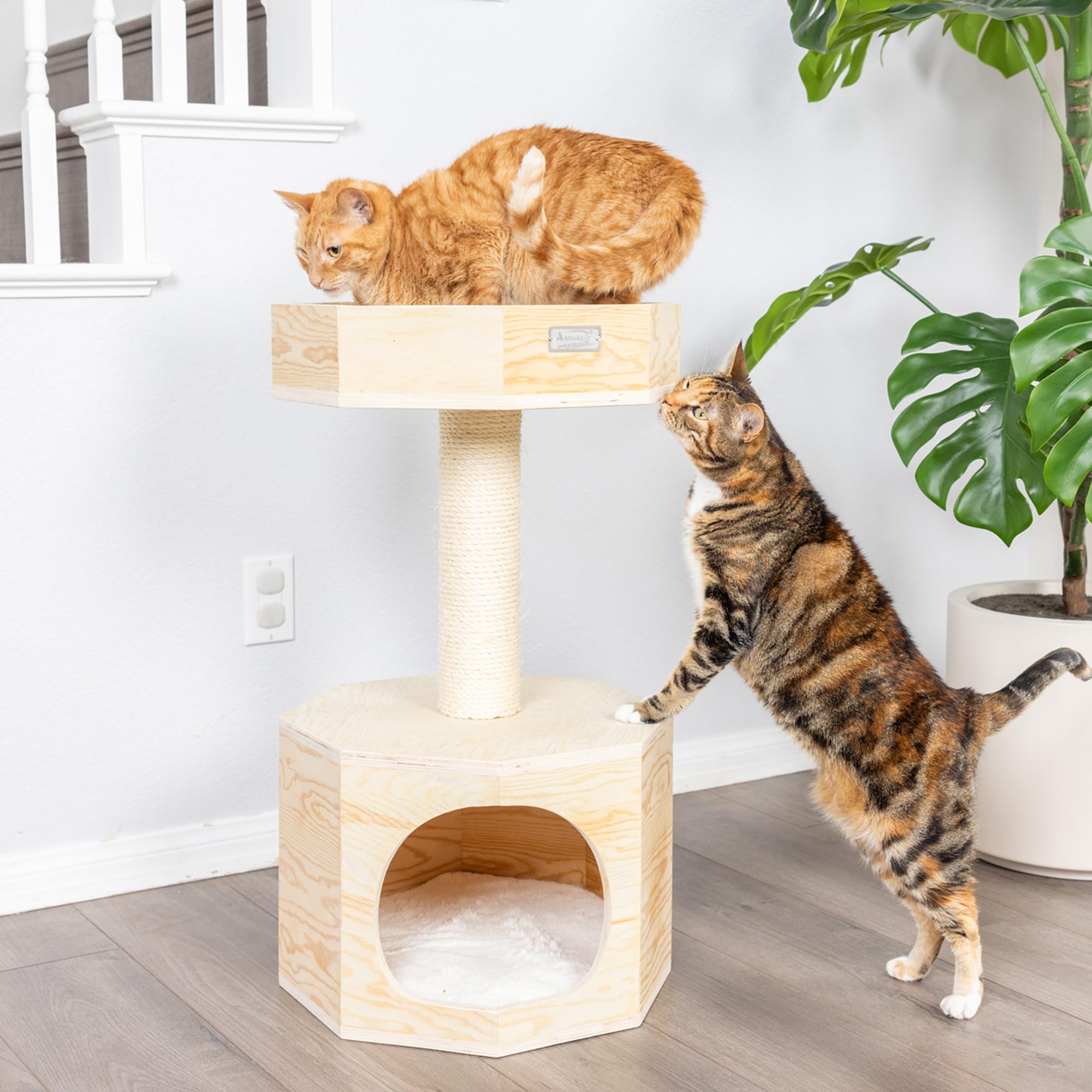 Armarkat Solid Wood Sturdy Cat Tree Condo House Furniture with Cushion S2906, Tan, 2 Levels