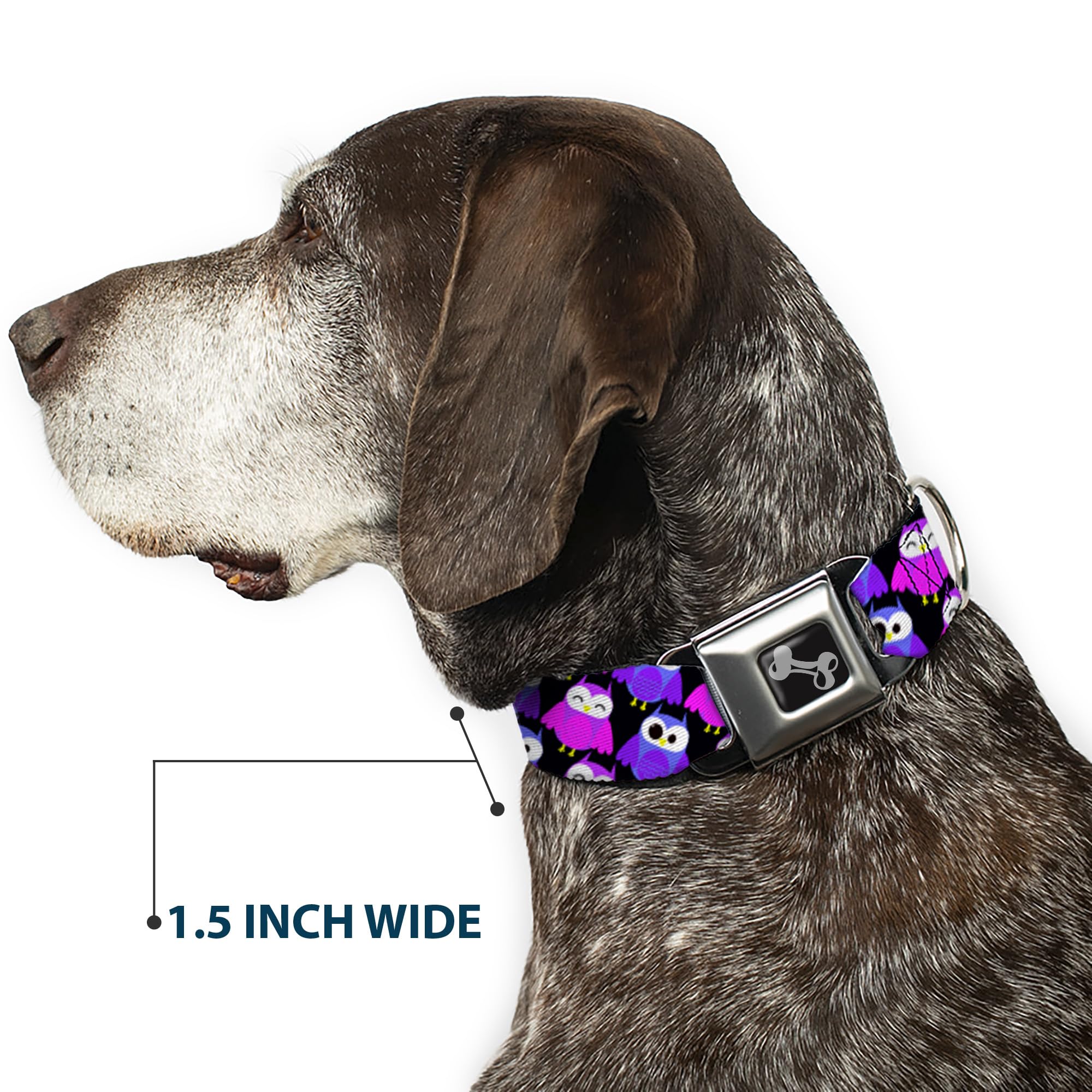 Dog Collar Seatbelt Buckle Owl Eyes Black Purples Pinks 16 to 23 Inches 1.5 Inch Wide