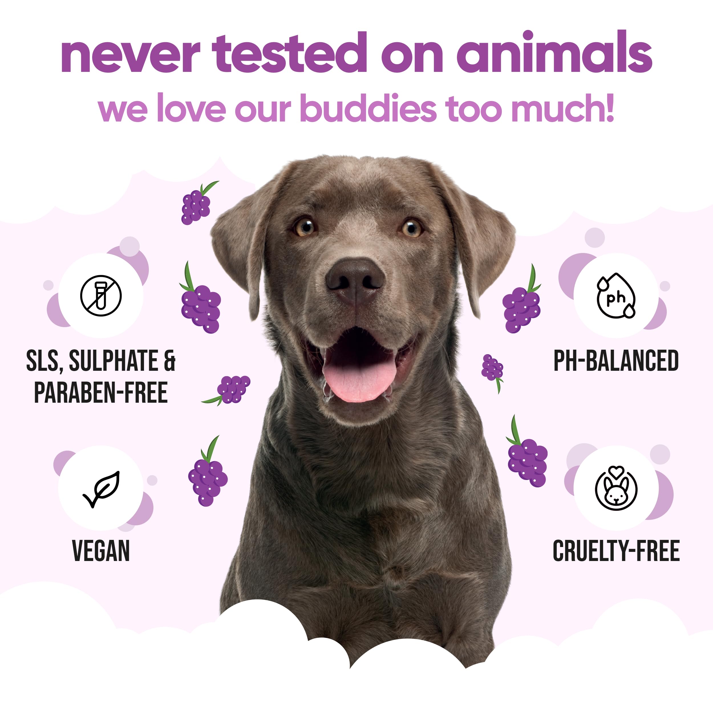 Grape Scented Puppy Shampoo By Buddycare | For Smelly Dogs From 8 Weeks | Aloe Vera & Pro Vitamin B5 (16.90Oz)