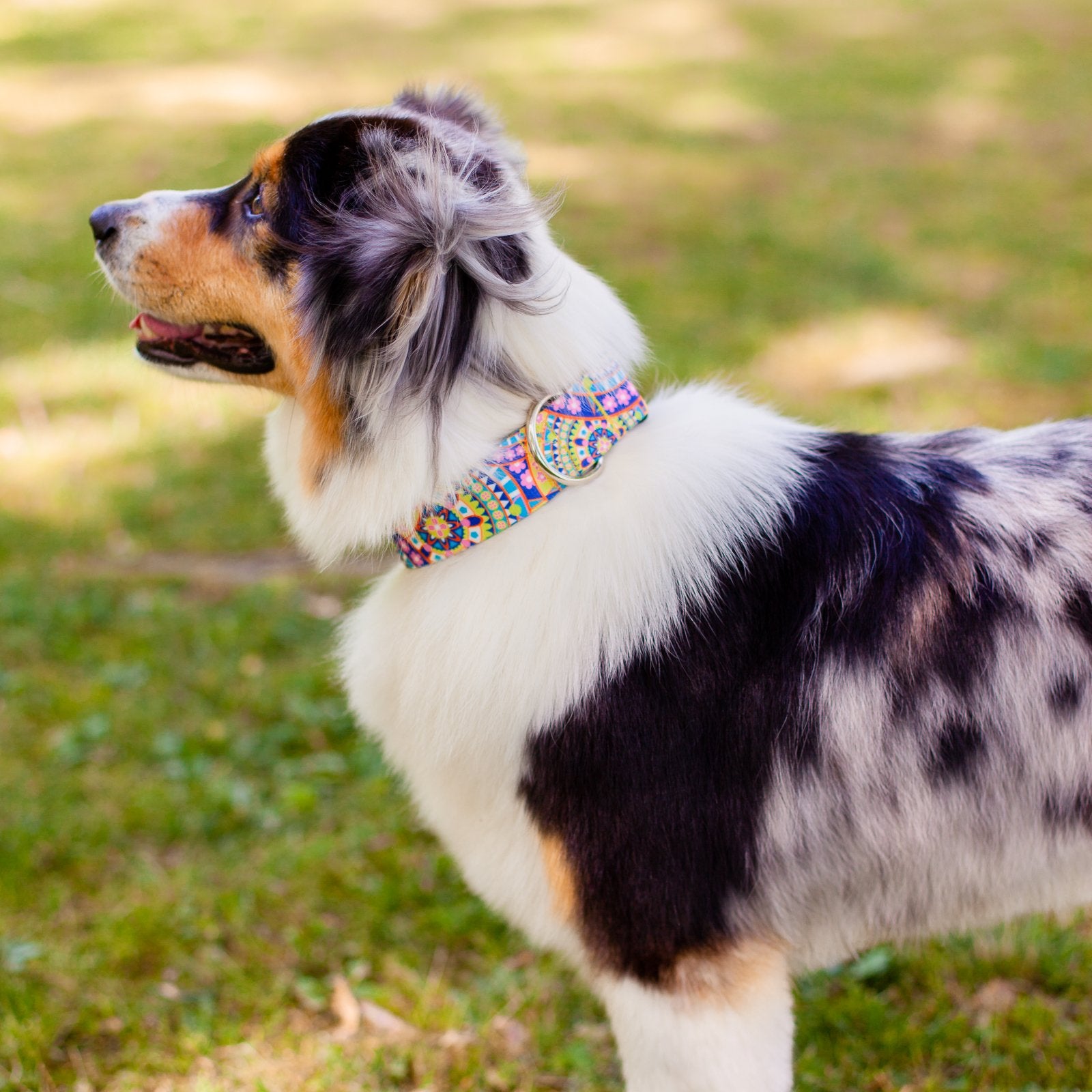 Country Brook Petz - Yellow Boho Mandala Martingale Dog Collar - Groovy Collection Featuring Far Out Designs (1/2 Inch, 2XS)