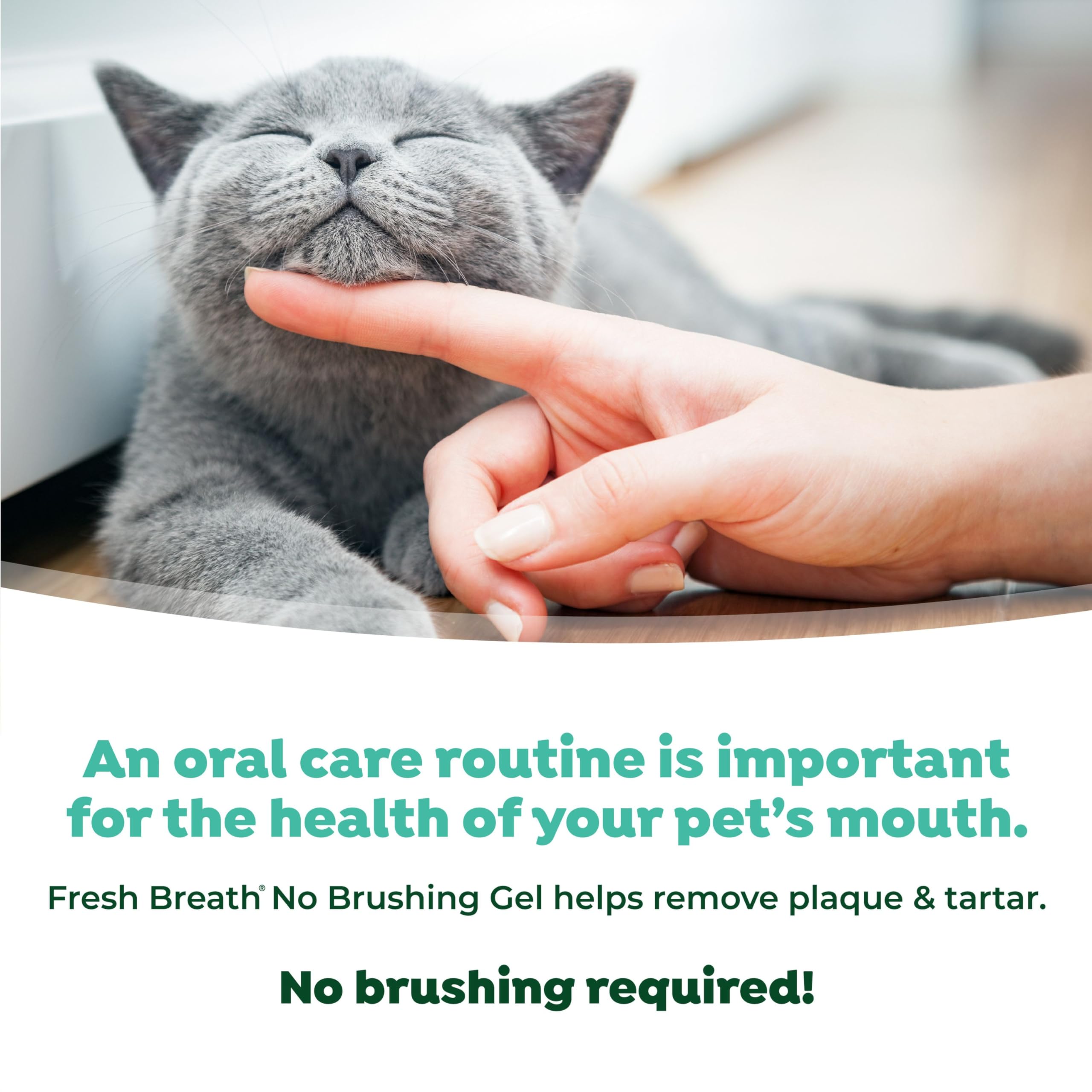 TropiClean Fresh Breath for Cats | No Brush Dental Gel for Cats | Cat Breath Freshener Toothpaste for Plaque, Tartar & Stinky Br