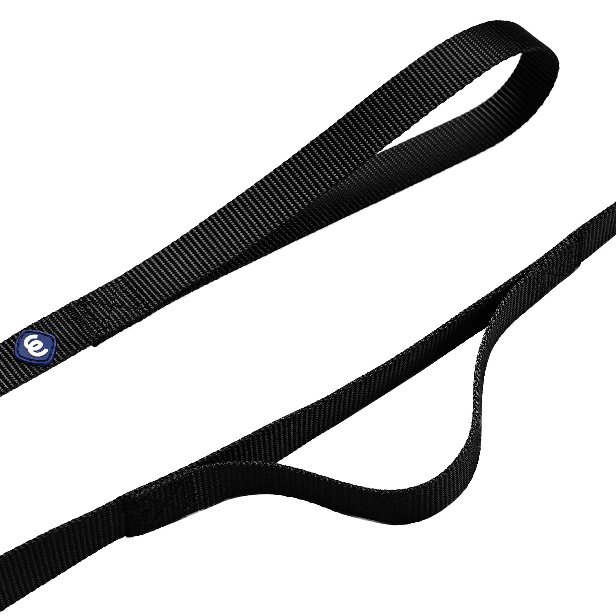 Blueberry Pet Essentials Durable Classic Dog Leash 4 Ft X 1', Black, Large, Double Handle Leashes For Dogs