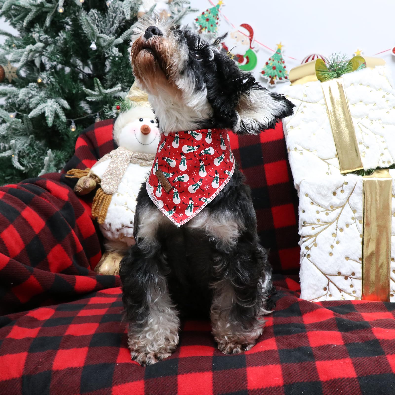 Up Urara Pup Christmas Dog Bandana, Triangle Bid Scarf For Small Medium Pets, Cotton Kerchief For Girl Boy Dogs Or Cats, Red Win