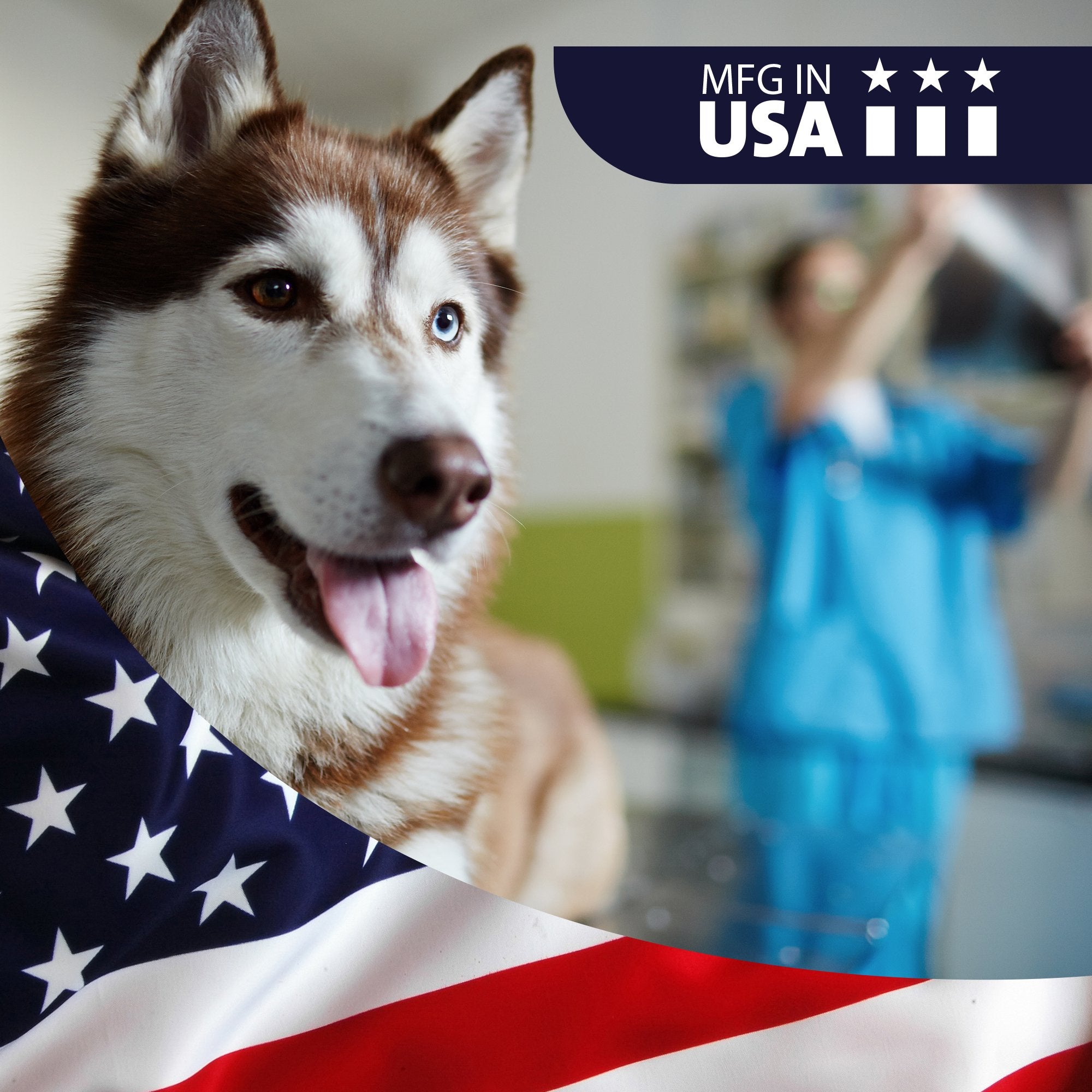 Vetwell Ear Cleaner For Dogs And Cats - Otic Rinse For Infections And Controlling Ear Infections And Odor In Pets - 8 Oz (Cucumber Melon)