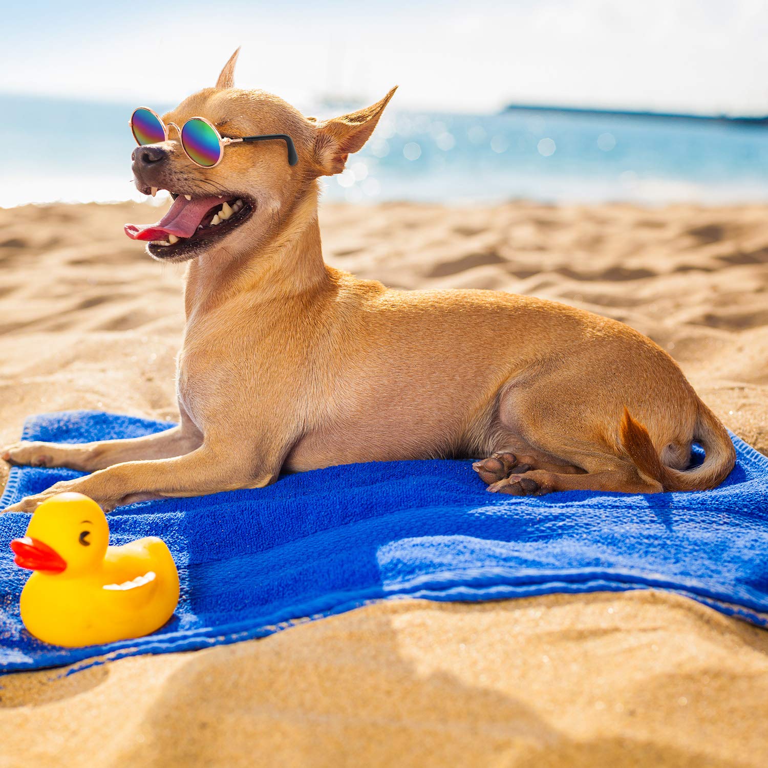 10 Pieces Cat Dog Sunglasses Funny Pet Glasses Round Metal Small Classic Retro Sunglasses Pet Hippie Cute Dog Cat Cosplay Party