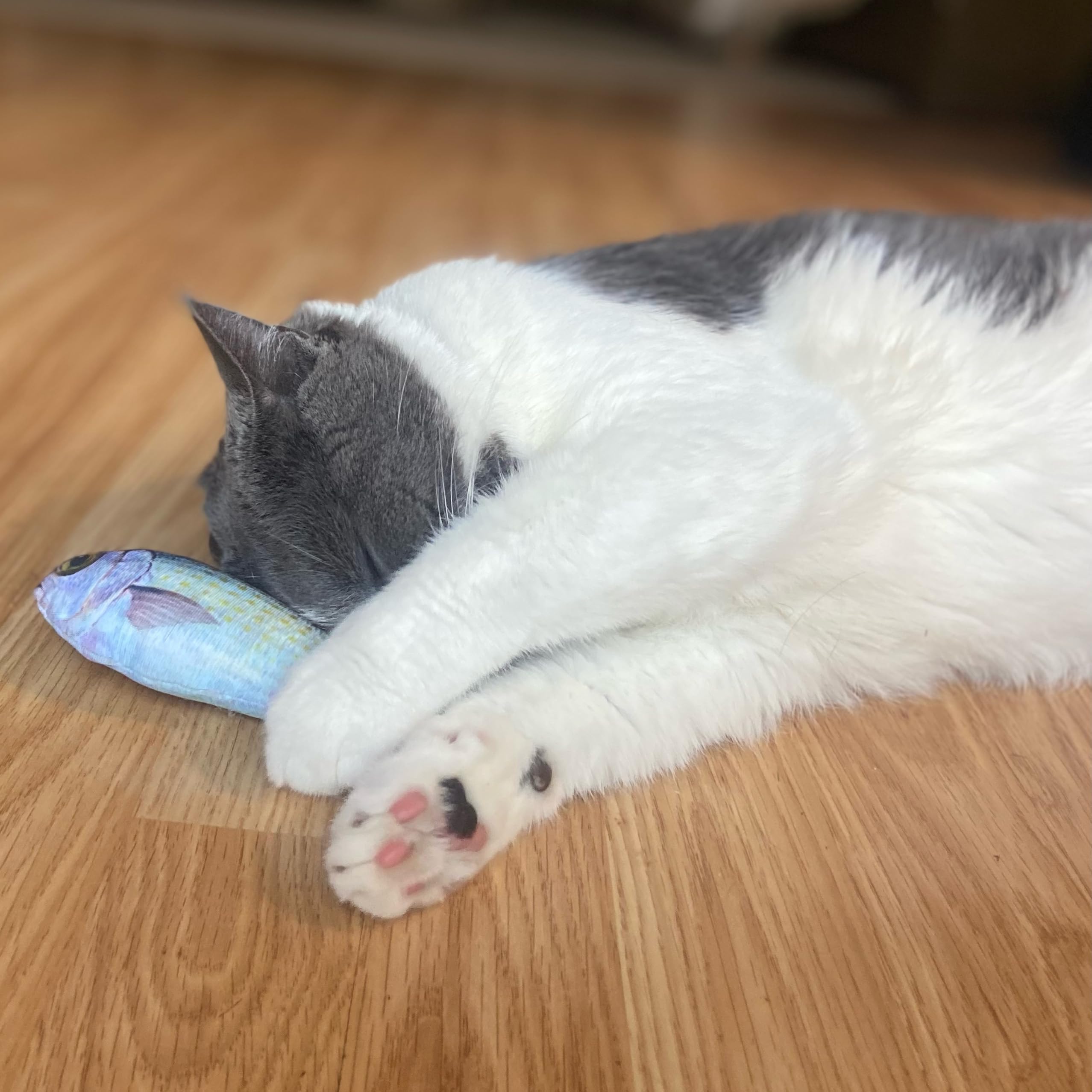 Spot Fanatic Fish - Plush Cat Toy With Catnip And Crinkle Sound, Realistic Looking Fish Toy For Cats & Kittens To Cuddle, Chase, Hug, Kick, And Swat -6.5In, 1 Piece