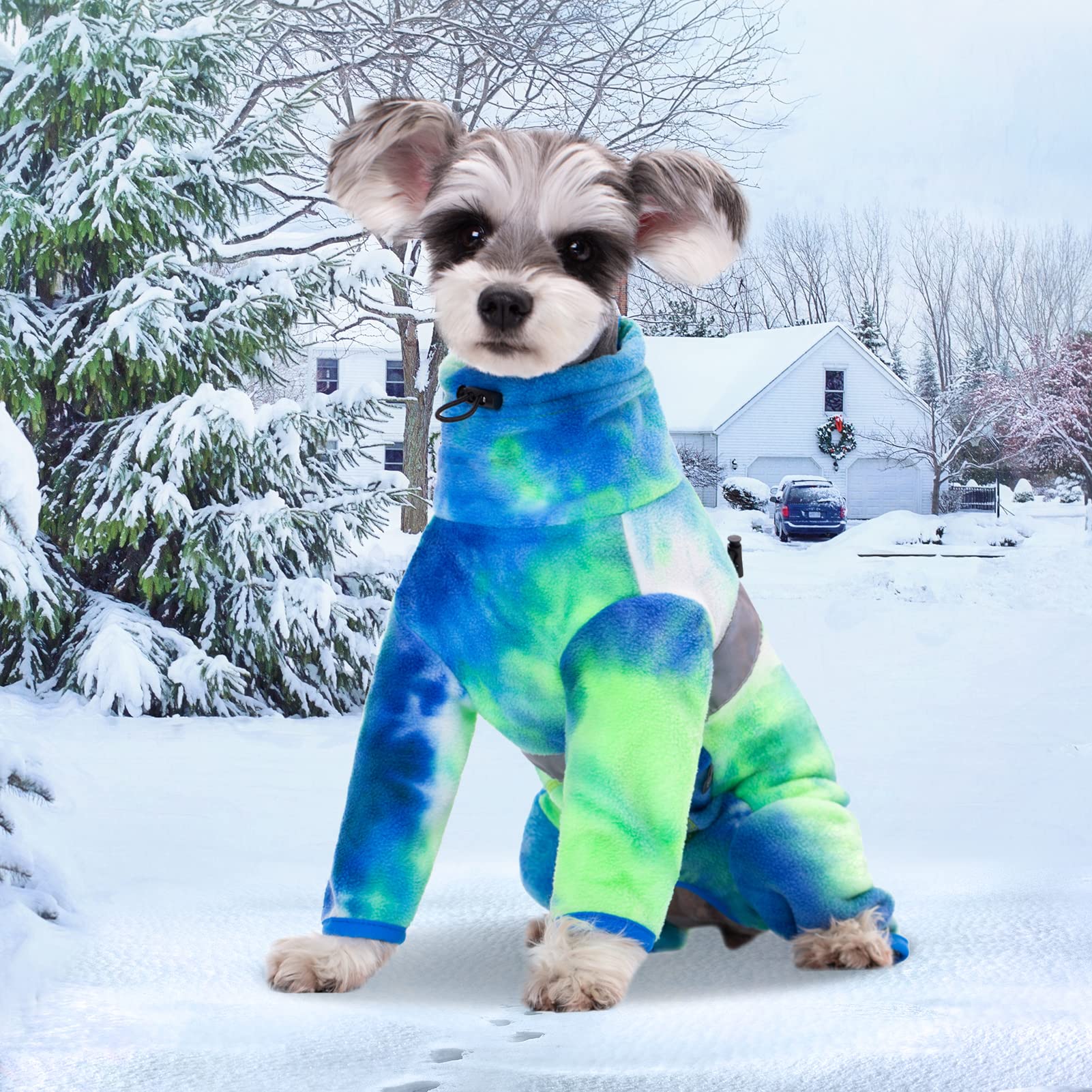 Aitoli Dog Coat, Tie Dye - Blue Polar Fleece Jumpsuit For Small Medium Dogs, Winter Jacket, Reflective Onesies, Full Body Vest,