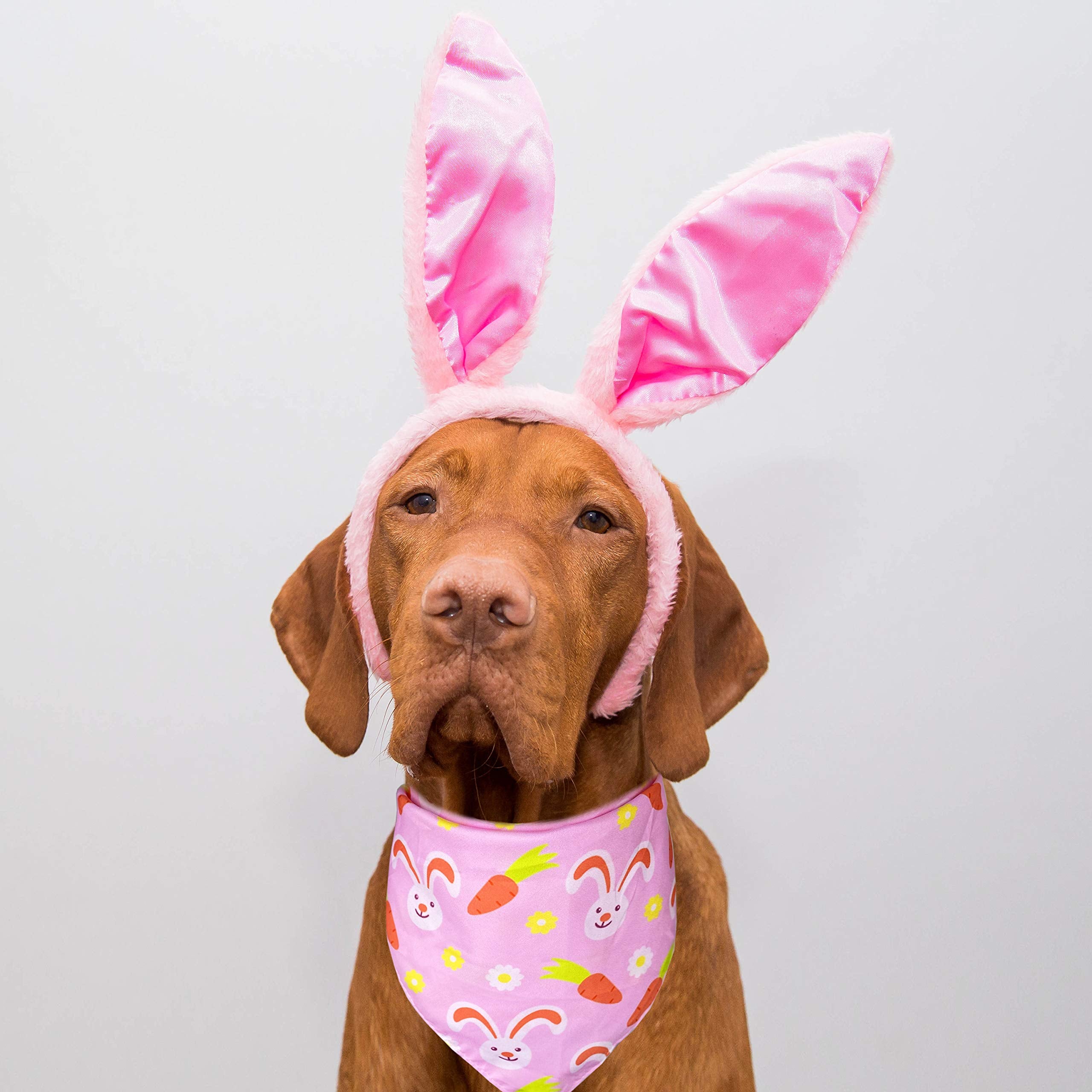 Easter Day Dog Bandana, Holiday Cat Bandana Bunny And Carrot Scarfs For Small Medium Large Dogs Cats Pet Puppies (Hoppy Hour/Pin