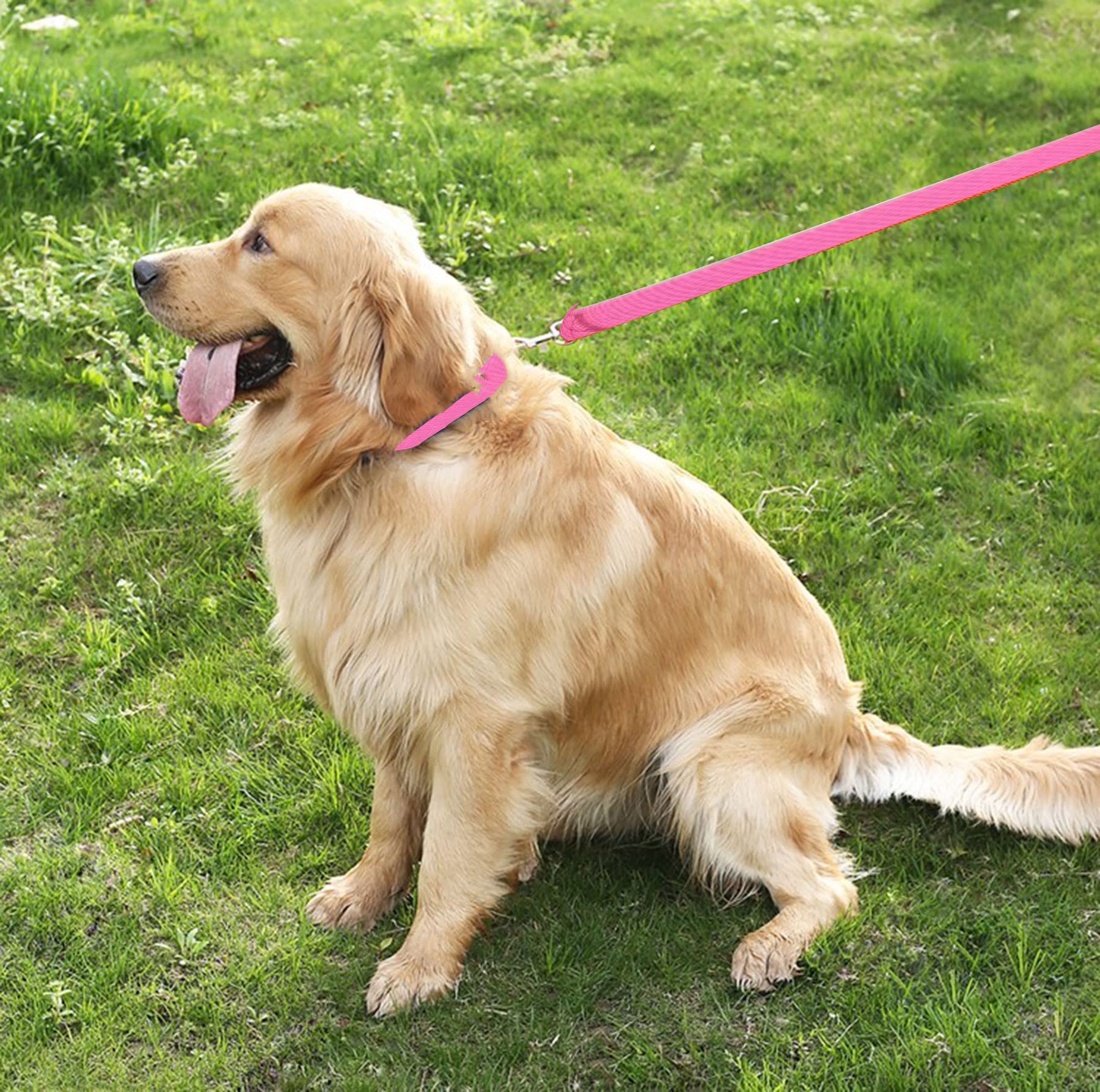 Taian 4 Ft Strong Dog Leash, Nylon Dog Leashes For Small Medium Large Dogs