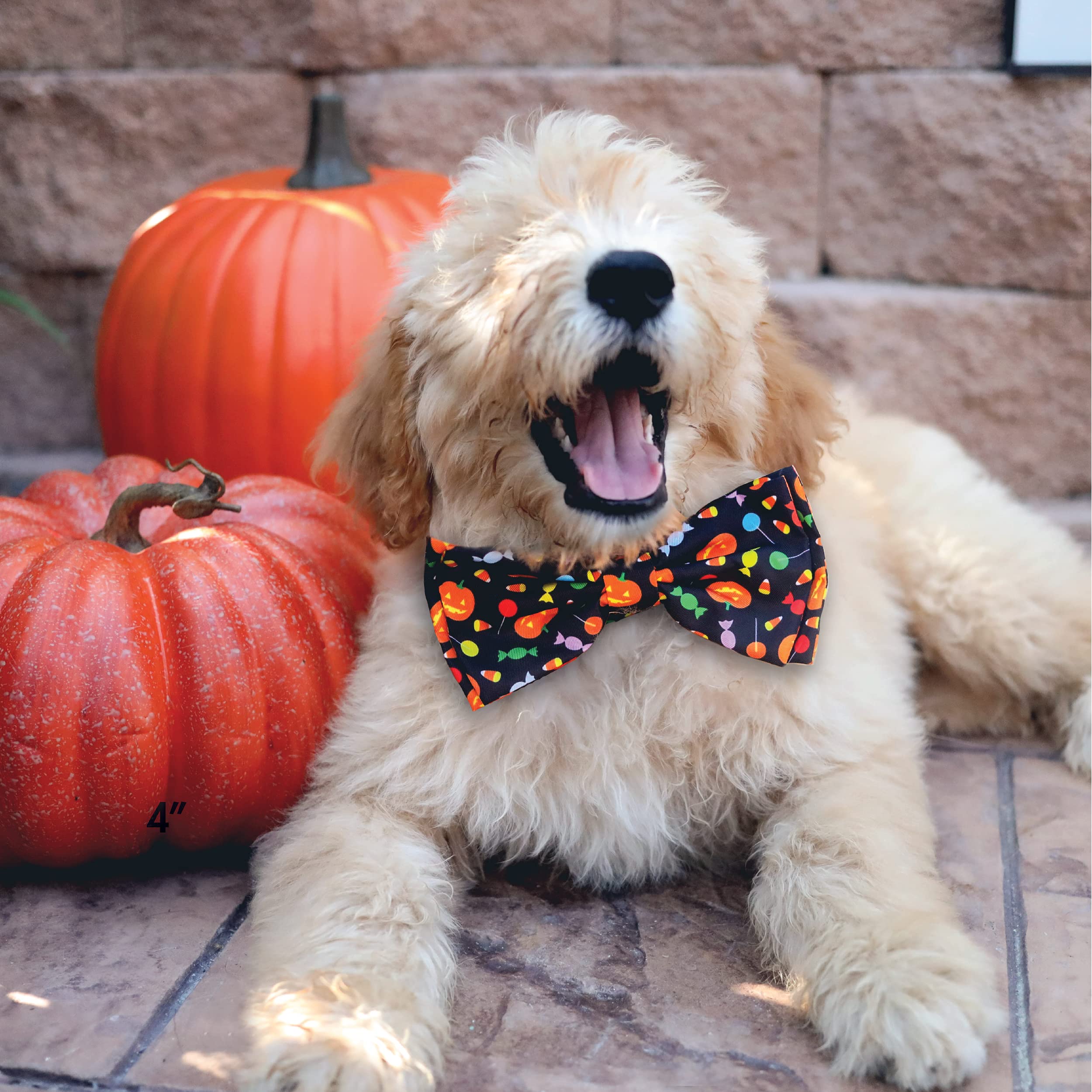 Huxley & Kent Bow Tie For Pets | Trick Or Treat (Extra-Large) | Halloween Bow Tie Collar Attachment | Fun Bow Ties For Dogs & Cats | Cute, Comfortable, And Durable | H&K Bow Tie