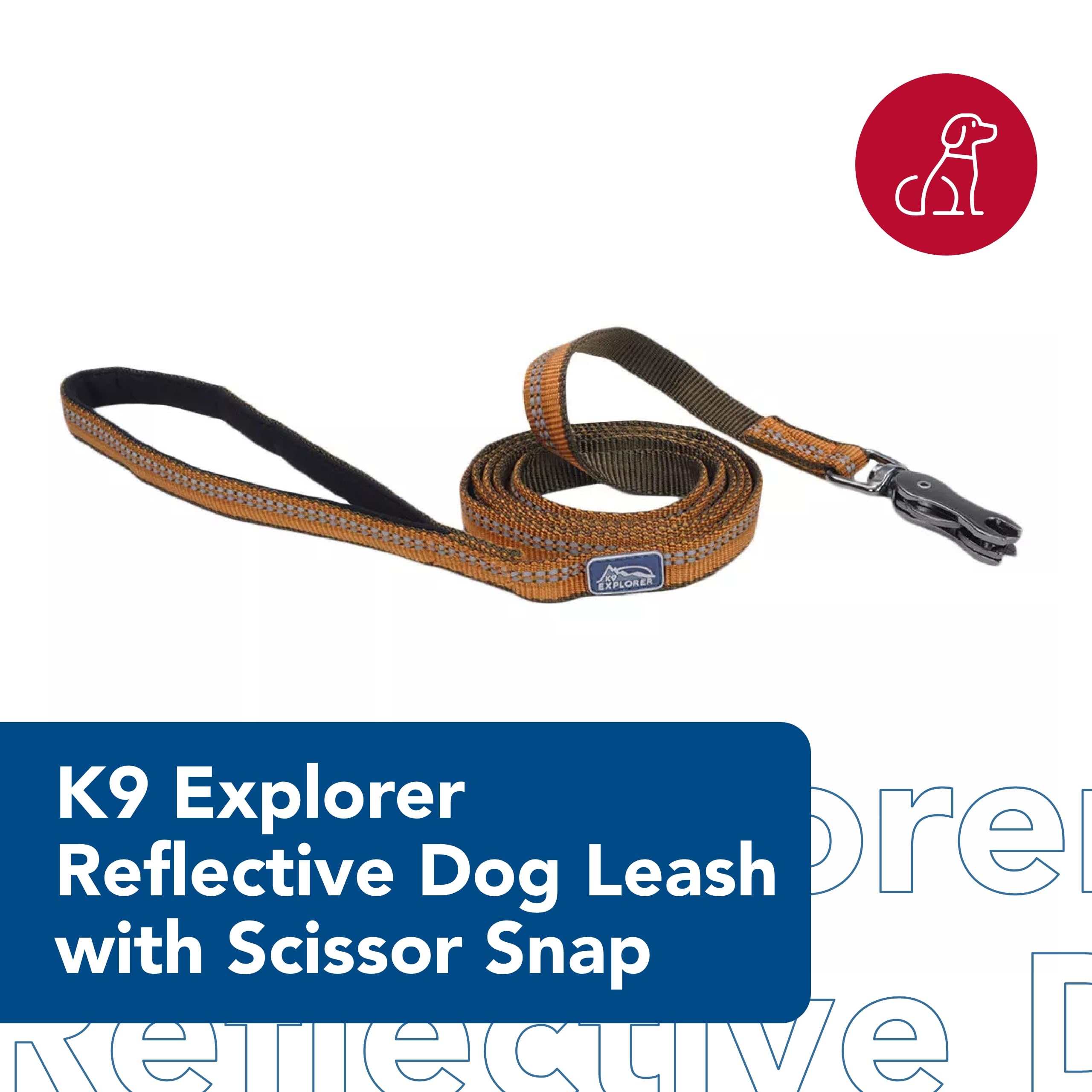 Coastal Pet K9 Explorer Reflective Dog Leash With Scissor Snap - Durable Nylon Leash - Leashes For Dogs & Puppies - Pet Supplies For Dogs - Sapphire, 5/8' X 6'