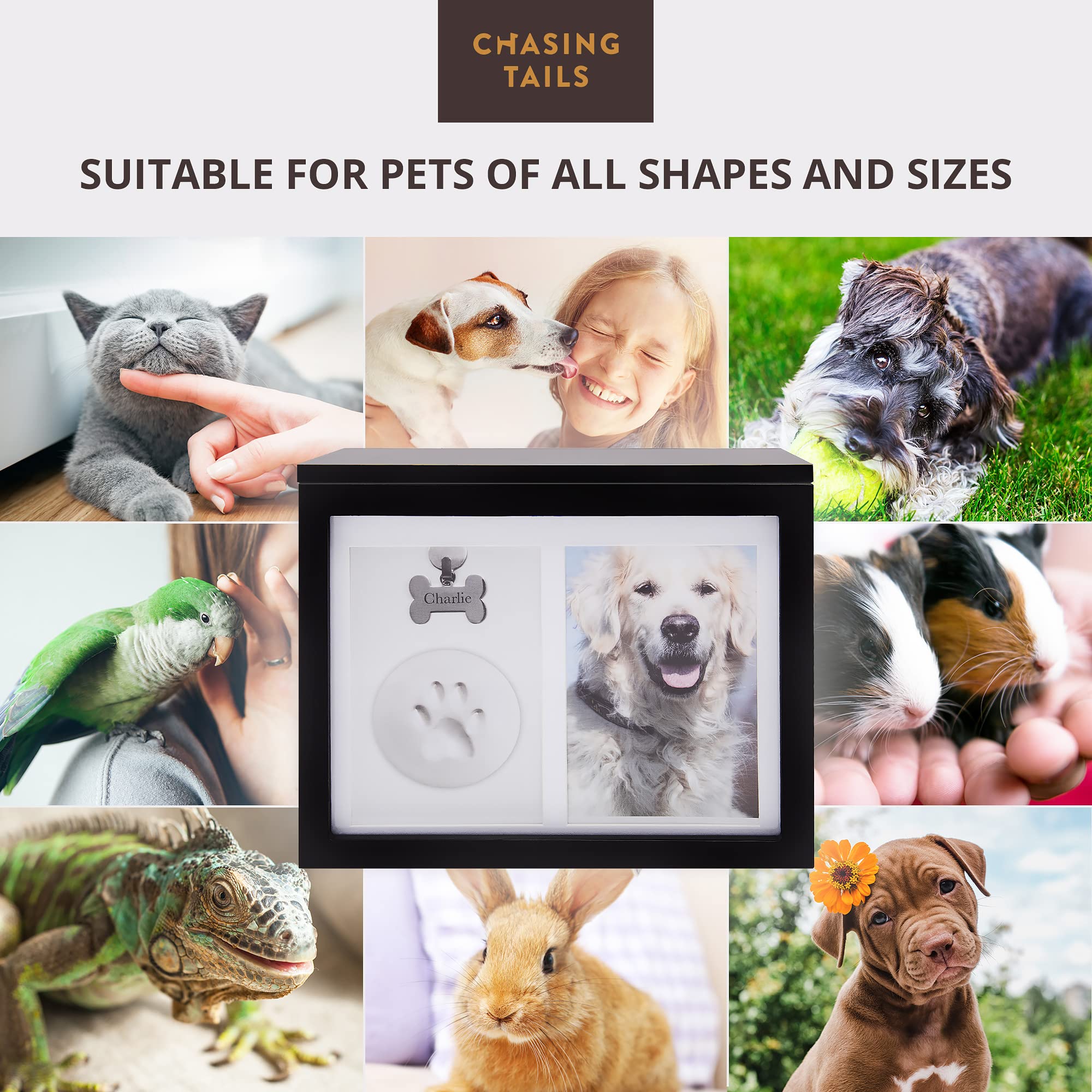 Chasing Tails Pet Urns For Dogs Ashes Keepsake - Memorial Dog Urns For Ashes Personalized, Cat Urns For Ashes, Pet Urns For Dogs Ashes Small - Includes Pet Paw Print Kit, Picture Frame And Photo Book