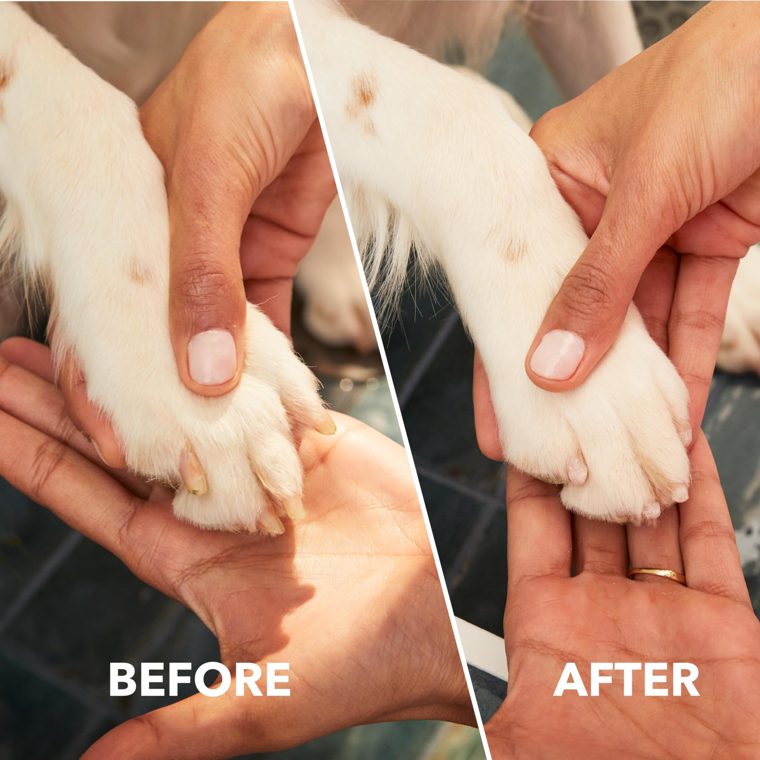 Dremel PawControl 7760-PET Dog Nail Grinder and Trimmer - Cordless & Rechargeable Pet Grooming Tool Kit - Safe for Dogs, Cats, a