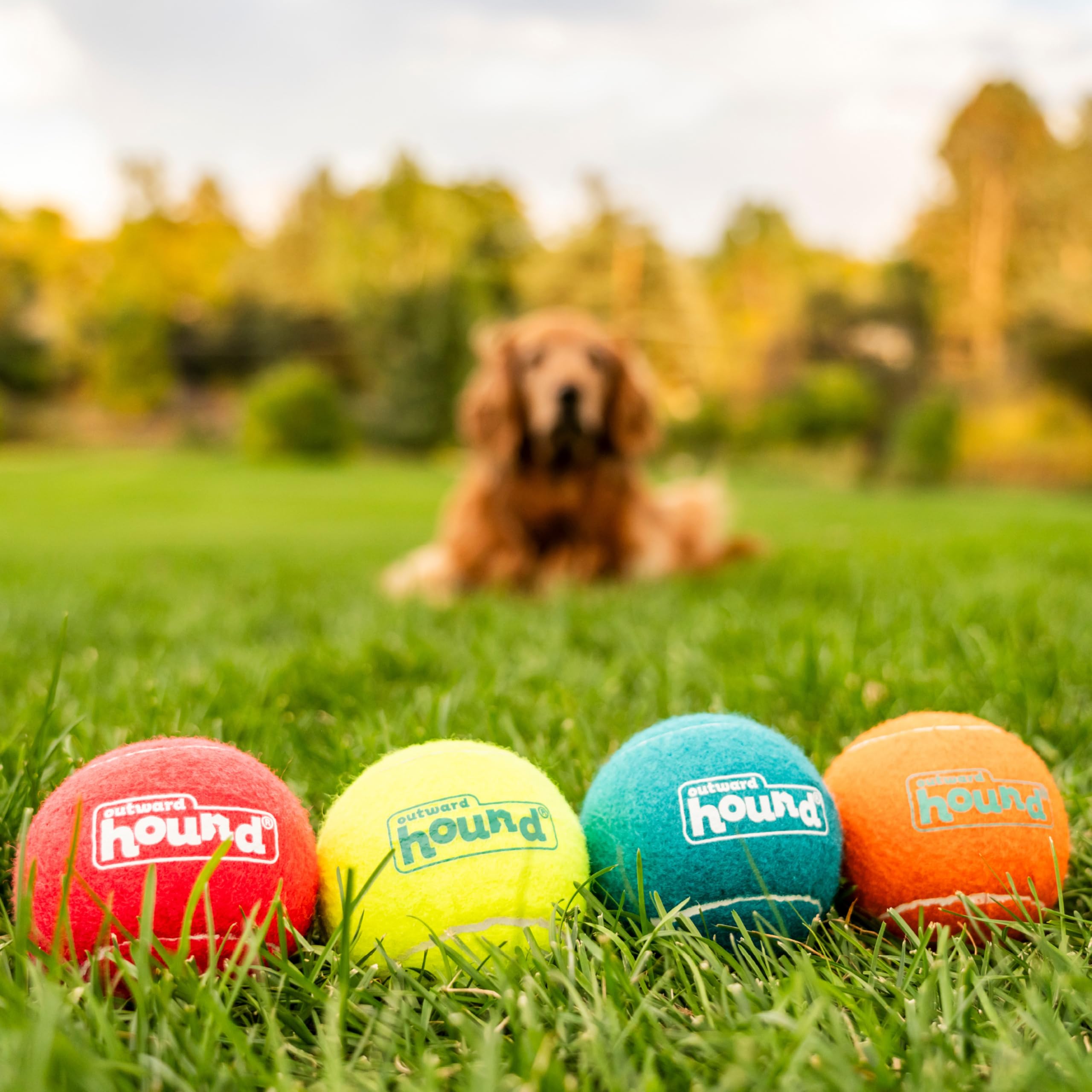 Outward Hound Squeaker Ballz - Interactive Dog Toy, Large Pack of 4 Multi Tennis Balls, Durable Squeaky Fetch Toys, Model 69510