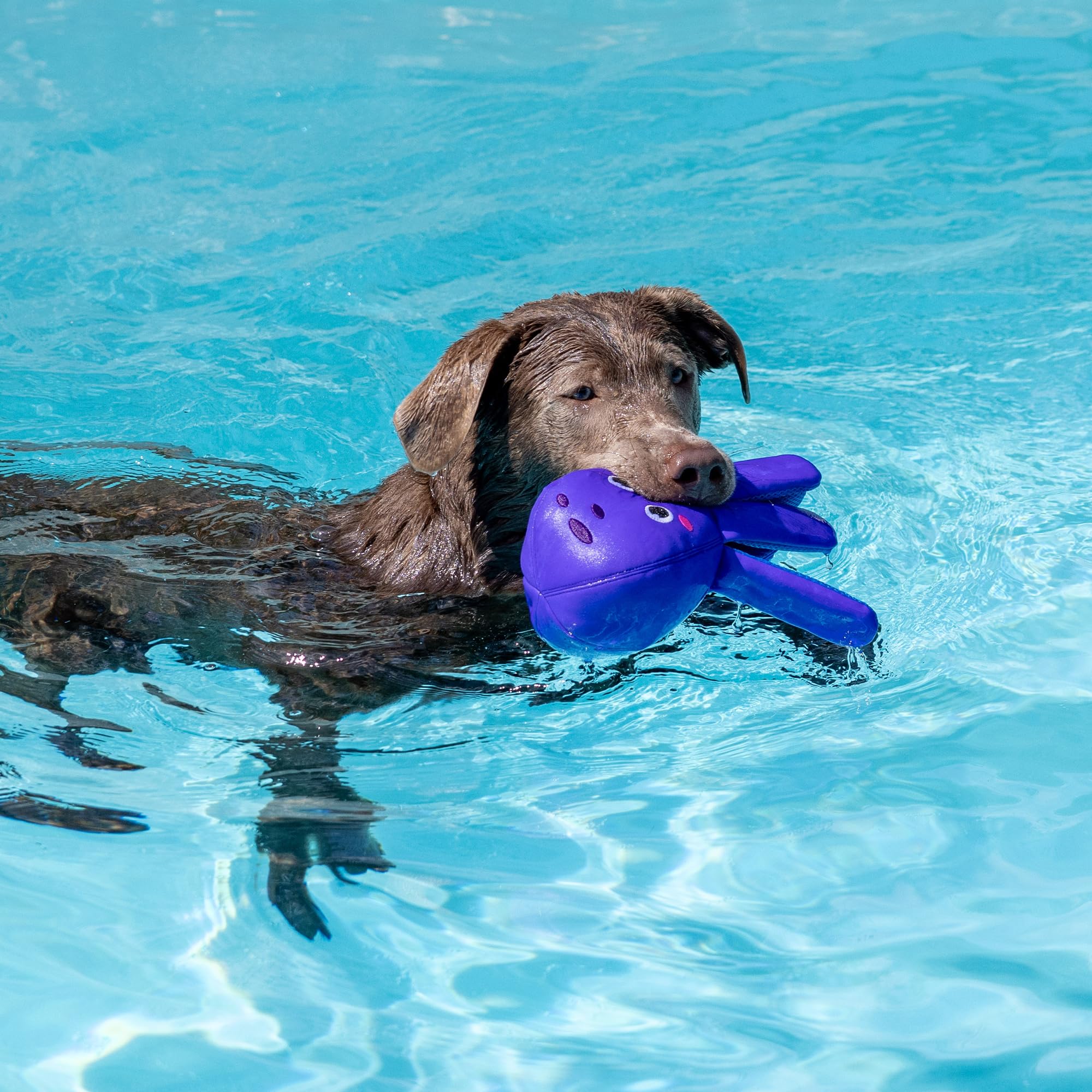 Fringe Studio ''Bubbles Floating Dog Toys, Pet Shop Collection (640003)