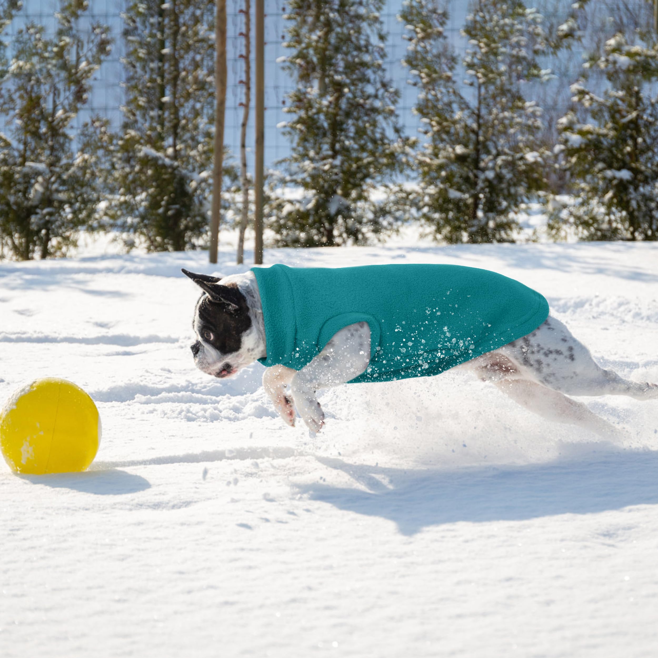 PUMYPOREITY Dog Sweater, Pullover Dog Fleece Vest, Medium Dog Sweater, Soft Dog Winter Coat, Cold Weather Pet Sweater for Dogs a
