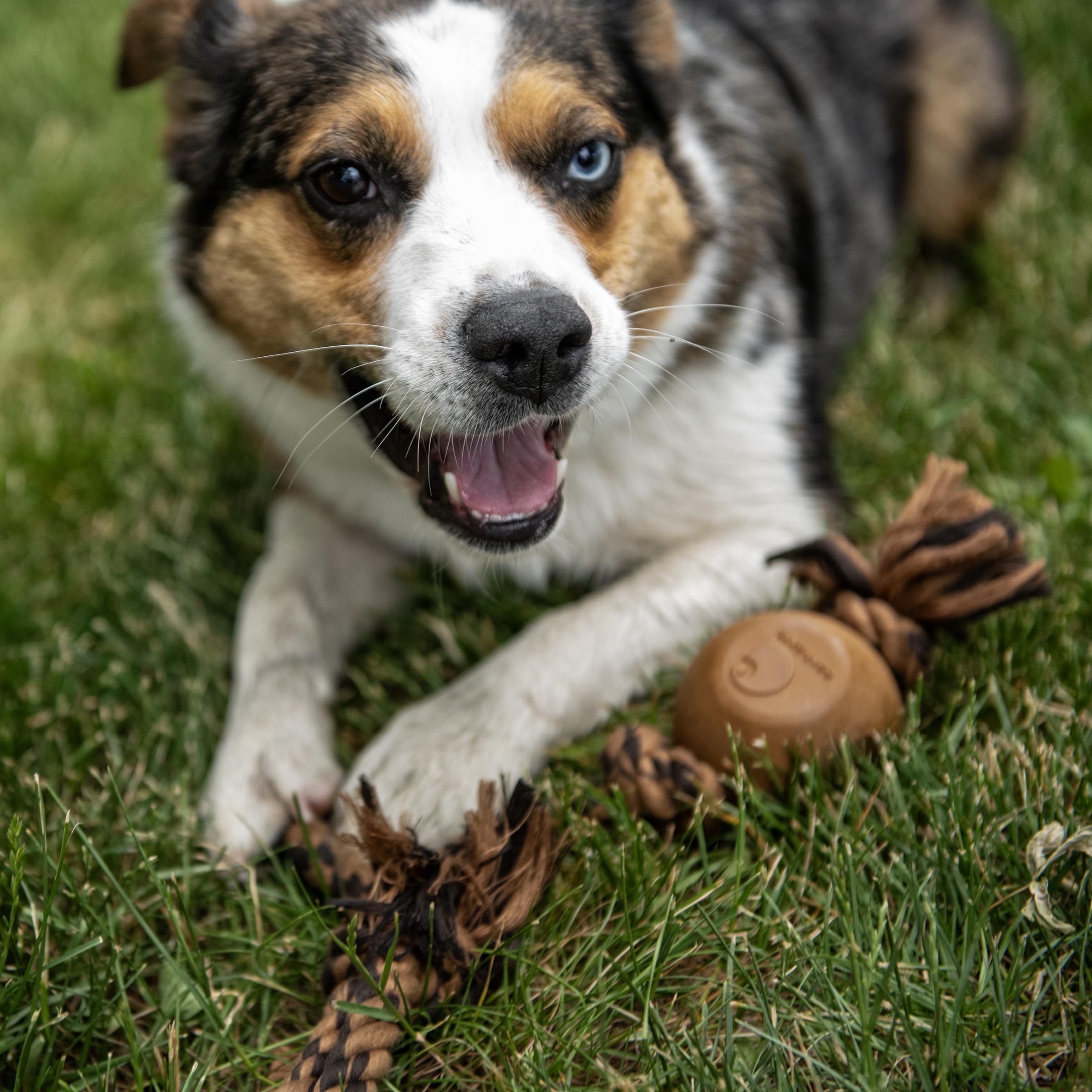 Carhartt Pet Toys Rubber Ball Dog Rope Pull, Durable Pull for Dogs, Carhartt Brown/Dark Brown