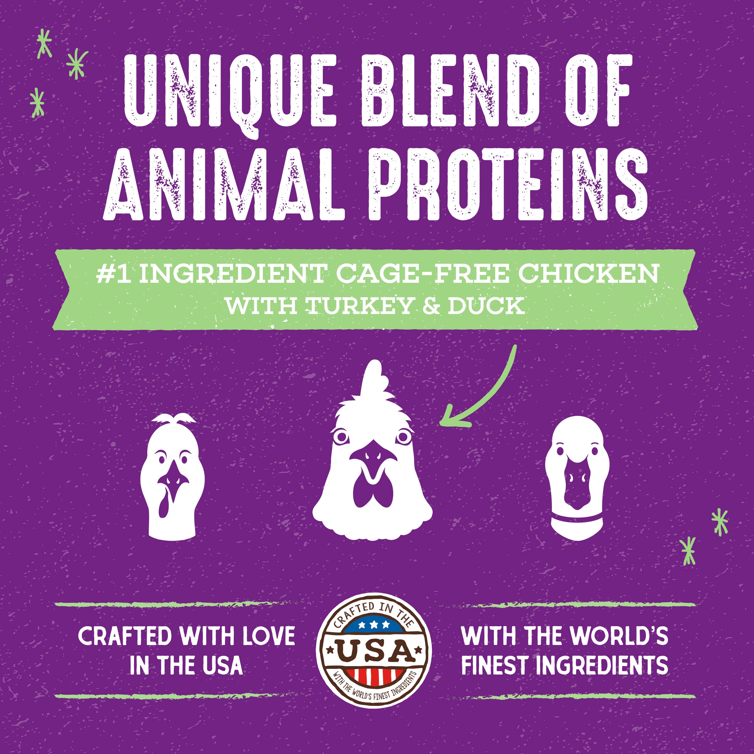 Stella & Chewys Raw Blend Premium Kibble Cat Food - Grain Free, Protein Rich Meals - Cage-Free Poultry Recipe - 2.5 lb. Bag