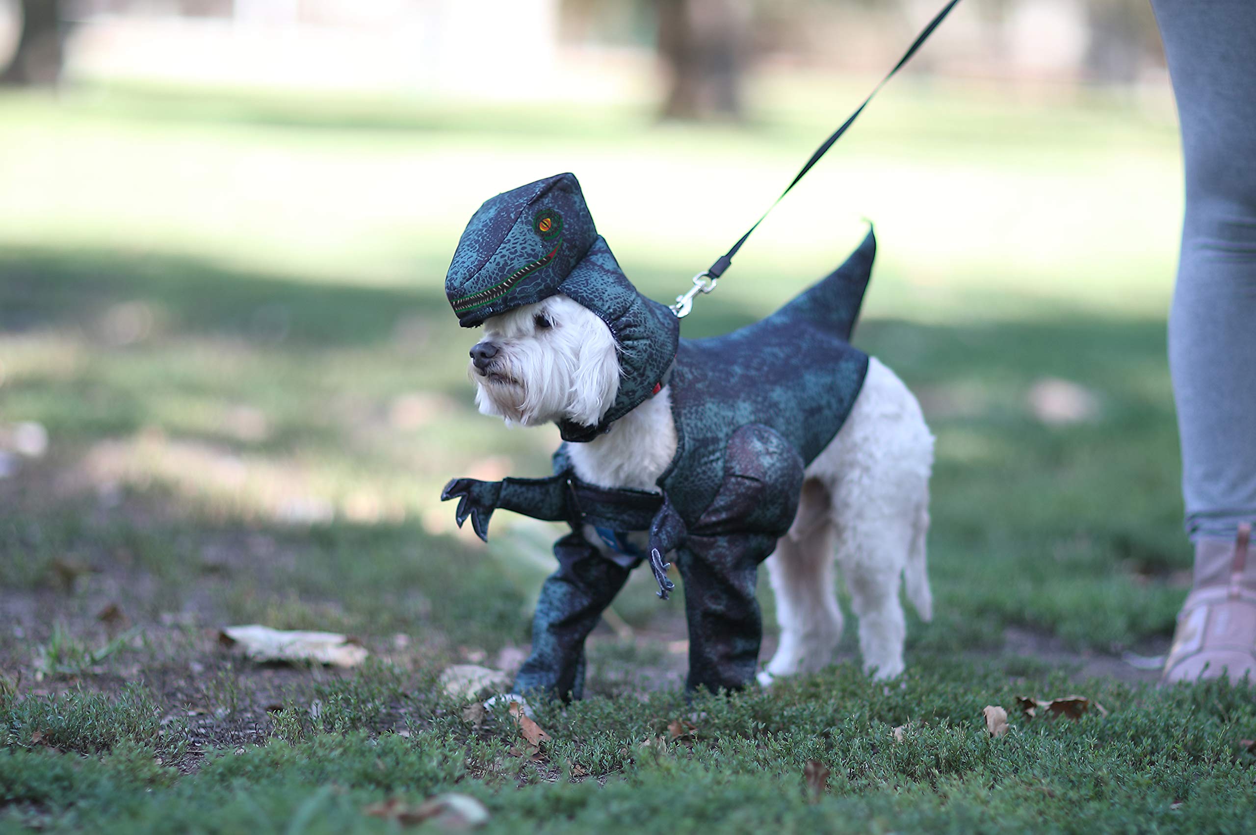 California Costumes Dog Pupasaurus Rex Costume, Large, Green, Polyester, Model PET20169 L