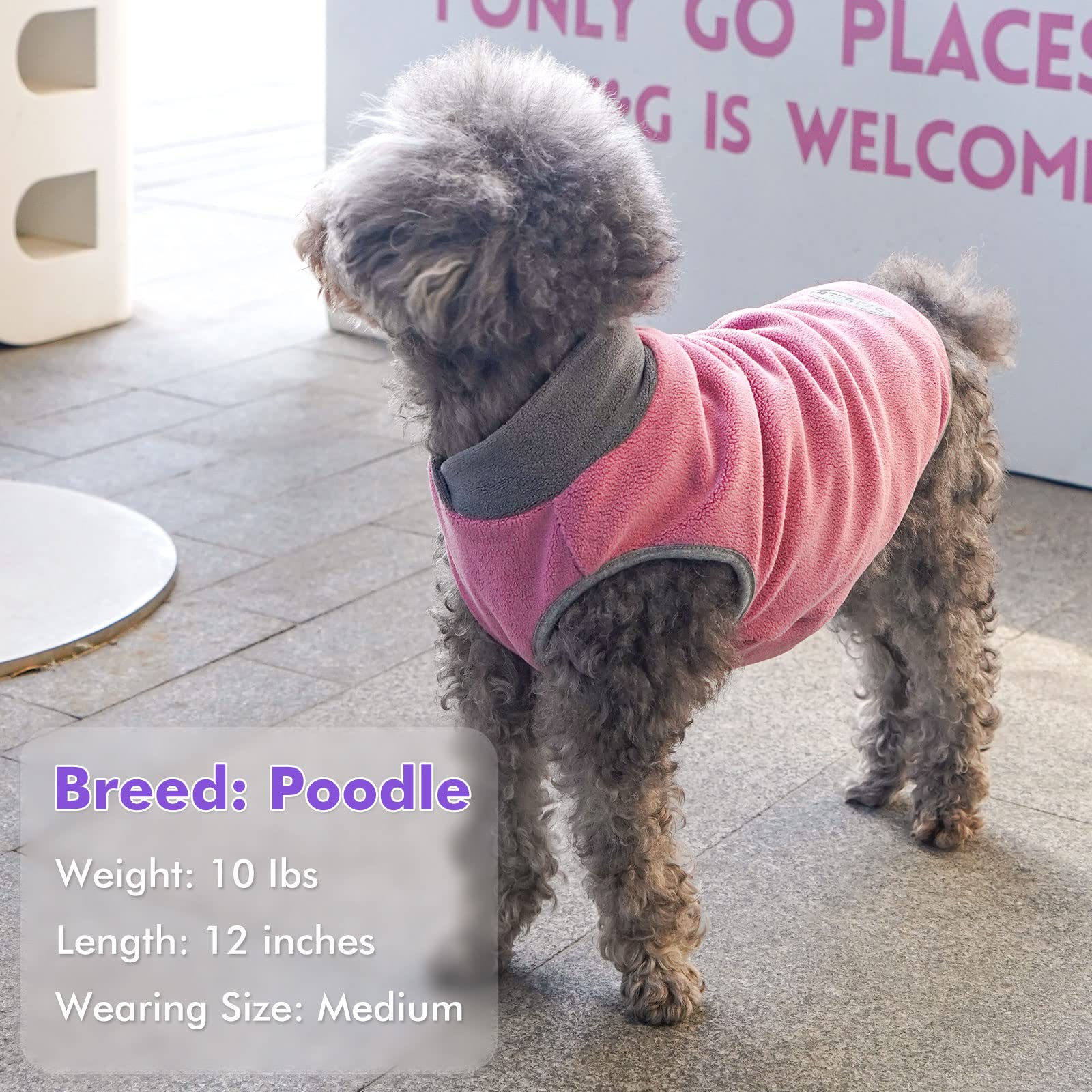 Cyeollo 2 Pack Dog Sweaters For Small Dogs Lightweight Stretchy Fleece Vest Pullover Dog Sweatshirt With Reflective Stripe Pet Dog Clothes Coats Size L Pink & Grey