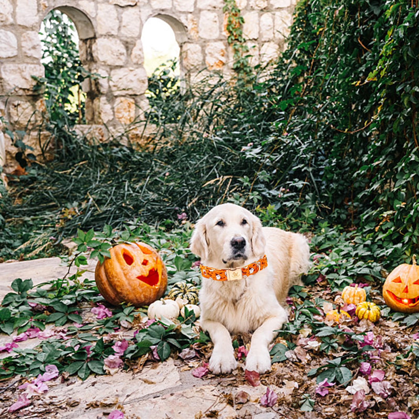 Elegant Little Tail Halloween Dog Collar - Cute Ghosts Print, Cotton With Metal Buckle, Adjustable For X-Large Dogs