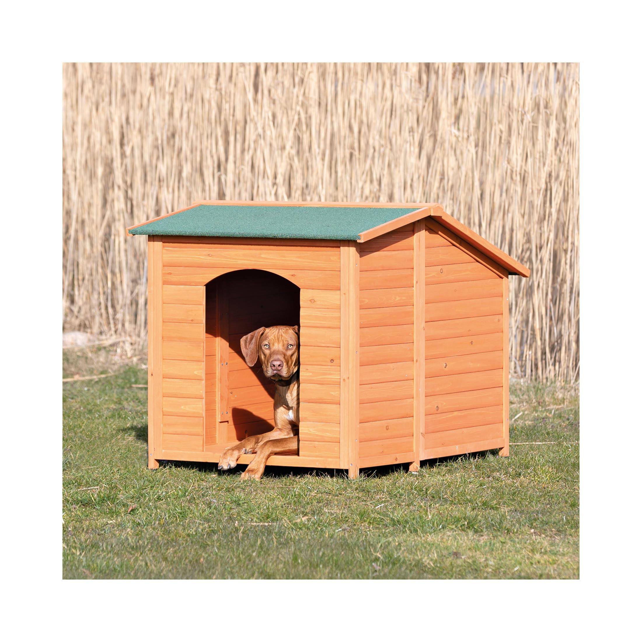 TRIXIE XXL Natura Classic Outdoor Dog House, Weatherproof Finish, Elevated Floor, Brown