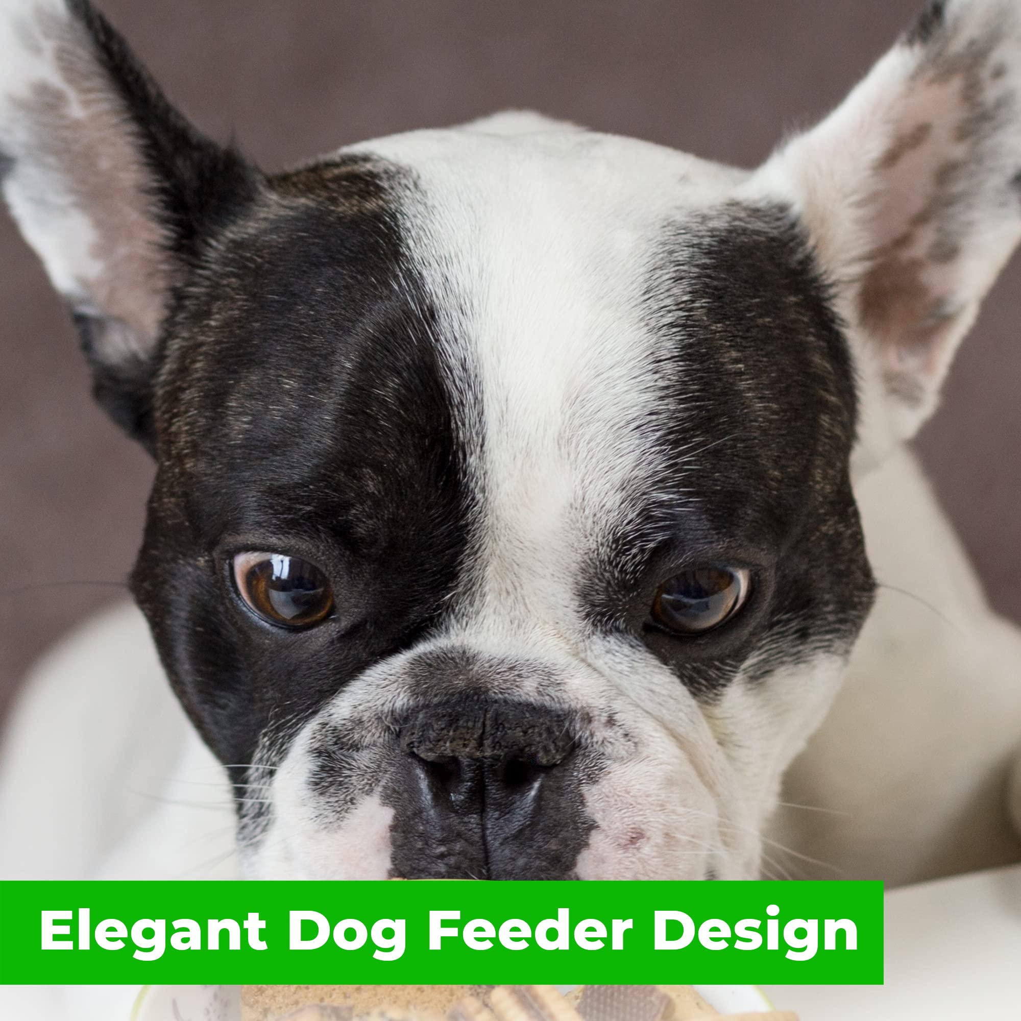 Bowsers Pet Products Replacement Bowl Sml - White Ceramic