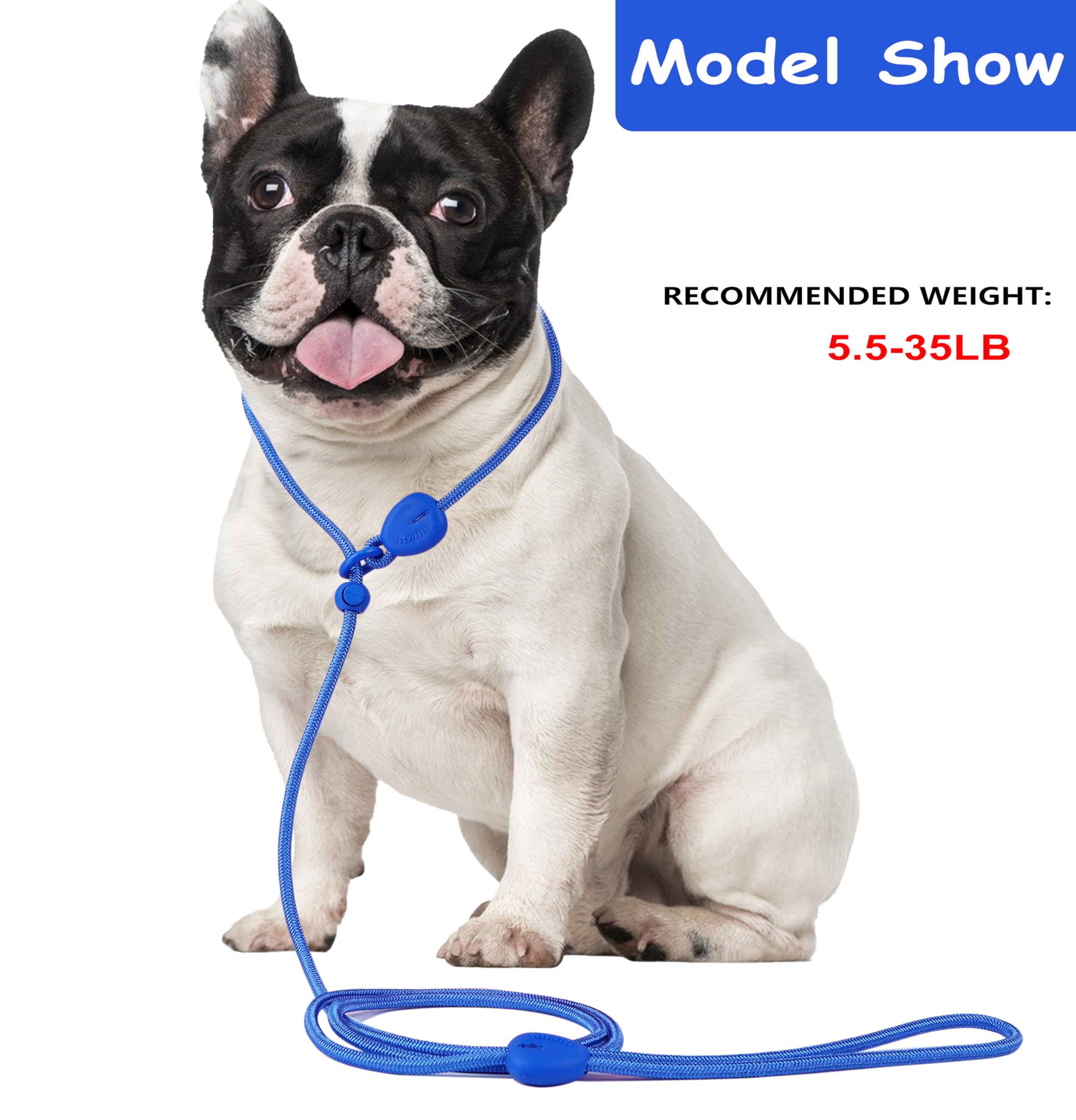 D Blue 6FT Slip Lead - Heavy Duty No Pull Dog Training Leash, Comfortable Rope Leash for Small to Medium Dogs