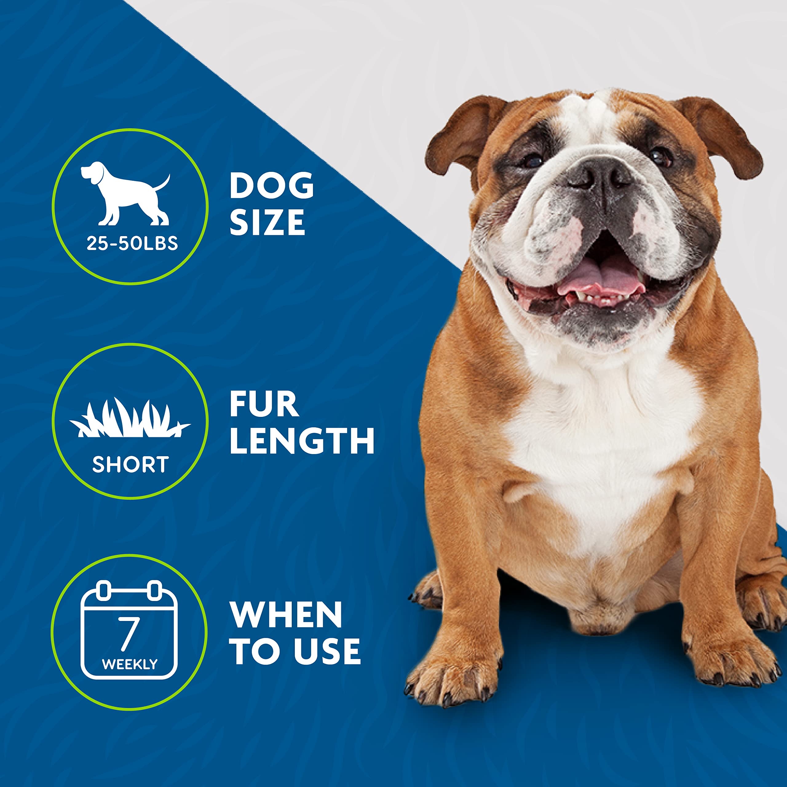 Furminator Medium Dog Undercoat Deshedding Tool, Short Hair, Reduces Loose Hair From Shedding