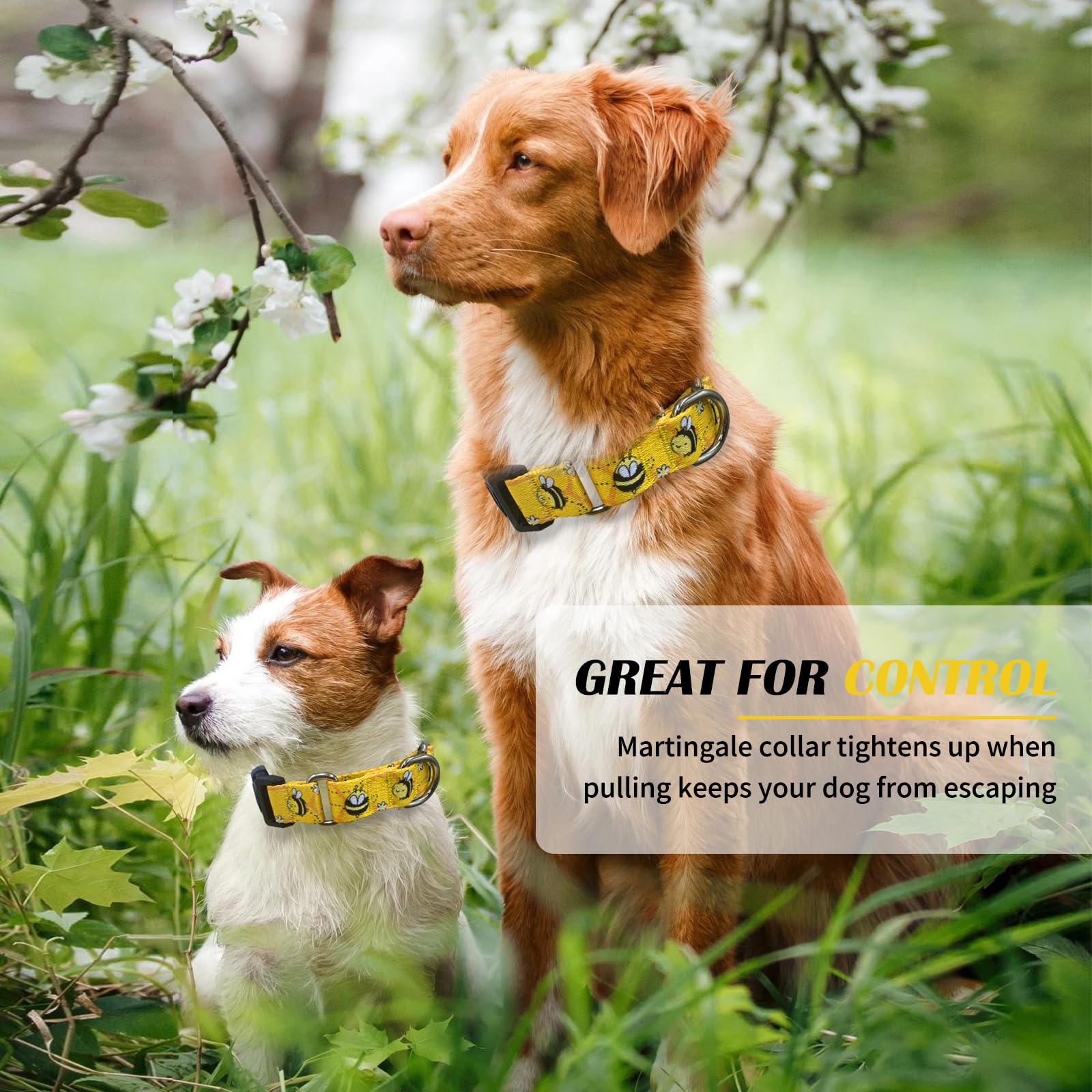 Hikiko Martingale Collar For Dogs Adjustable Soft Nylon Dog Collars With Cute Patterns For Small Medium Large Dog(Yellow Bee,Med