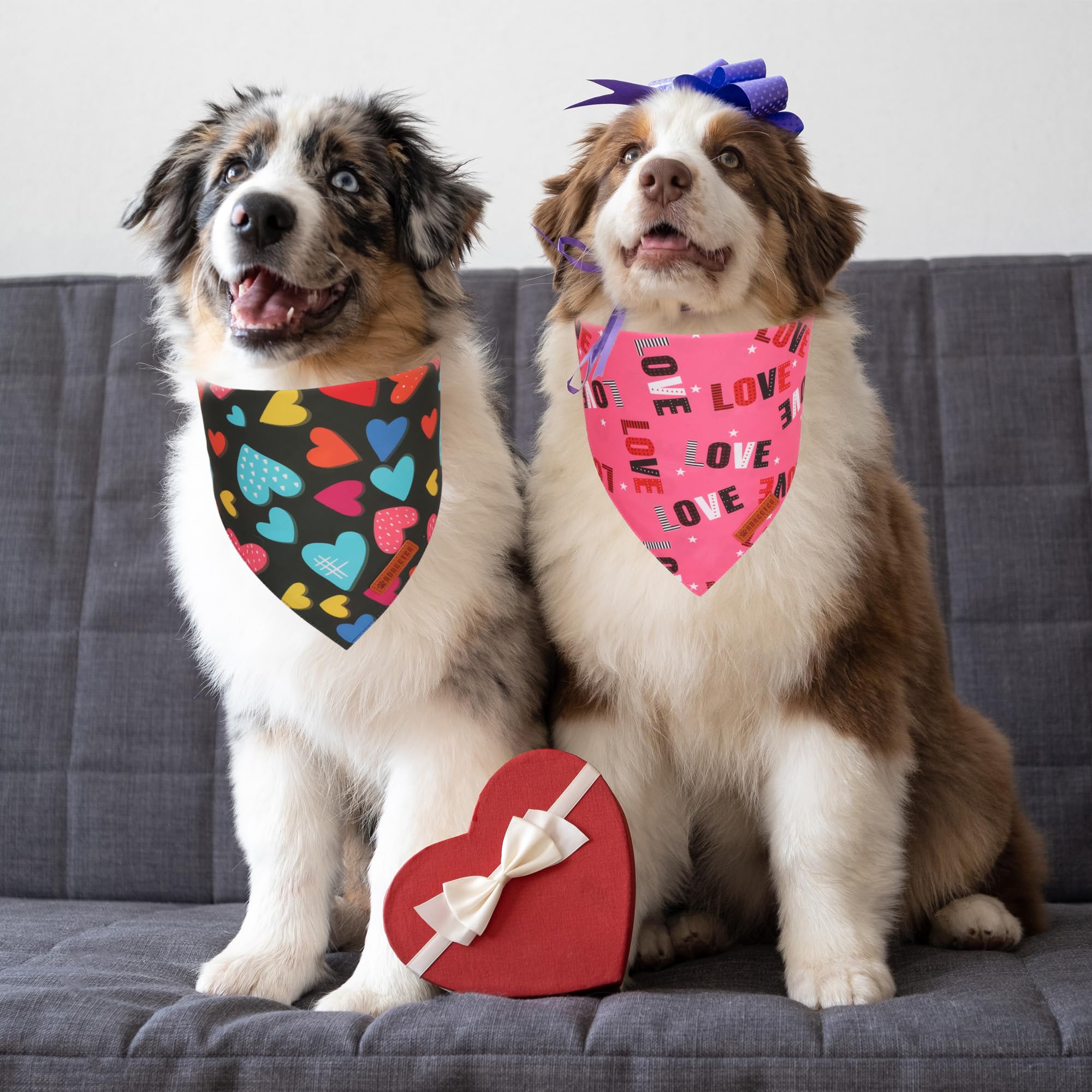 Adoggygo Valentine Dog Bandanas 2 Pack, Triangle Reversible Love Heart Scarf, Premium Durable Fabric, Pet Valentine Bandana For