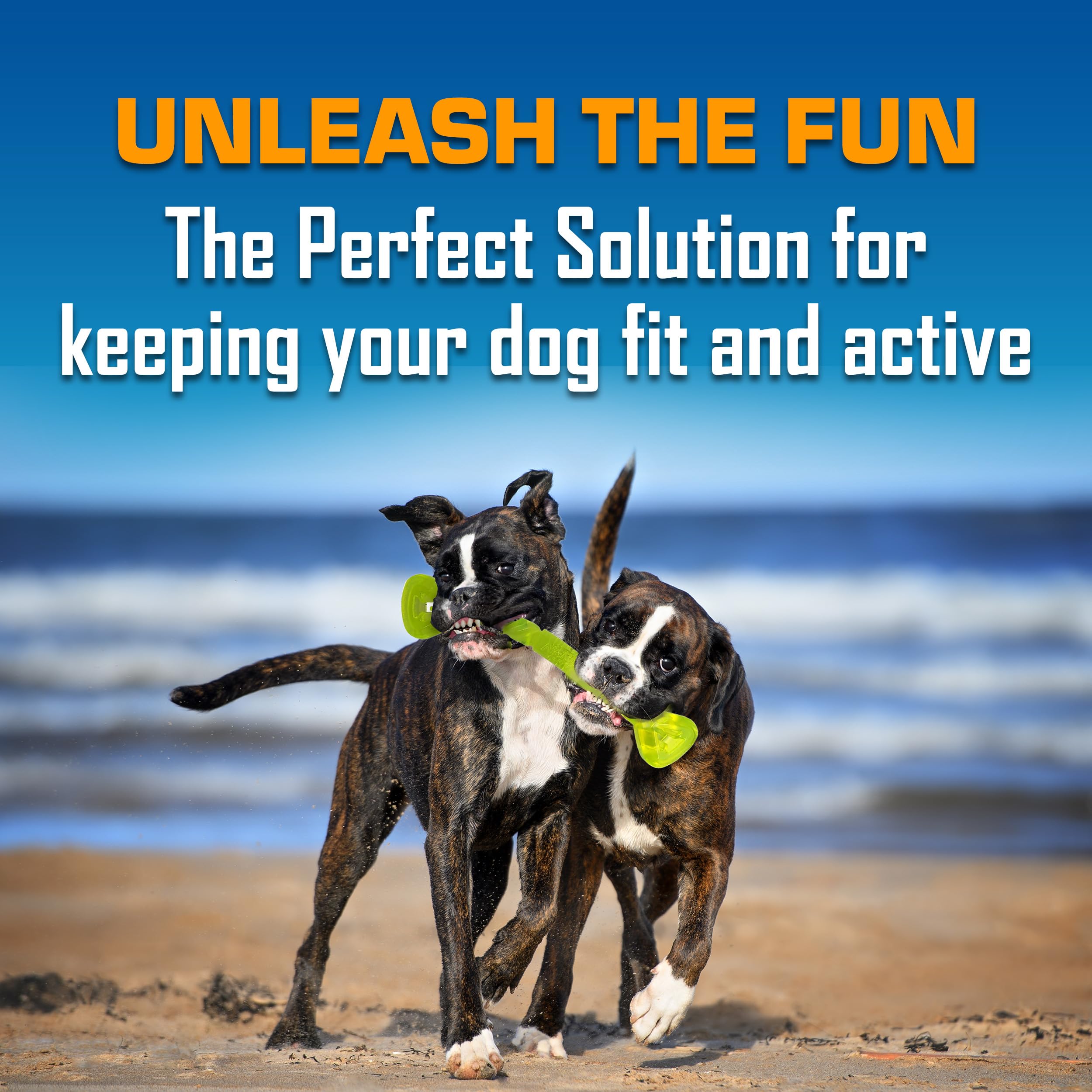 Nerf Dog Toy Gift Set, 3-Piece Set of Outdoor Dog Toys for Tug and Fetch, Includes Spike Squeak Ball, Treat Tug Bone and Exo Squ