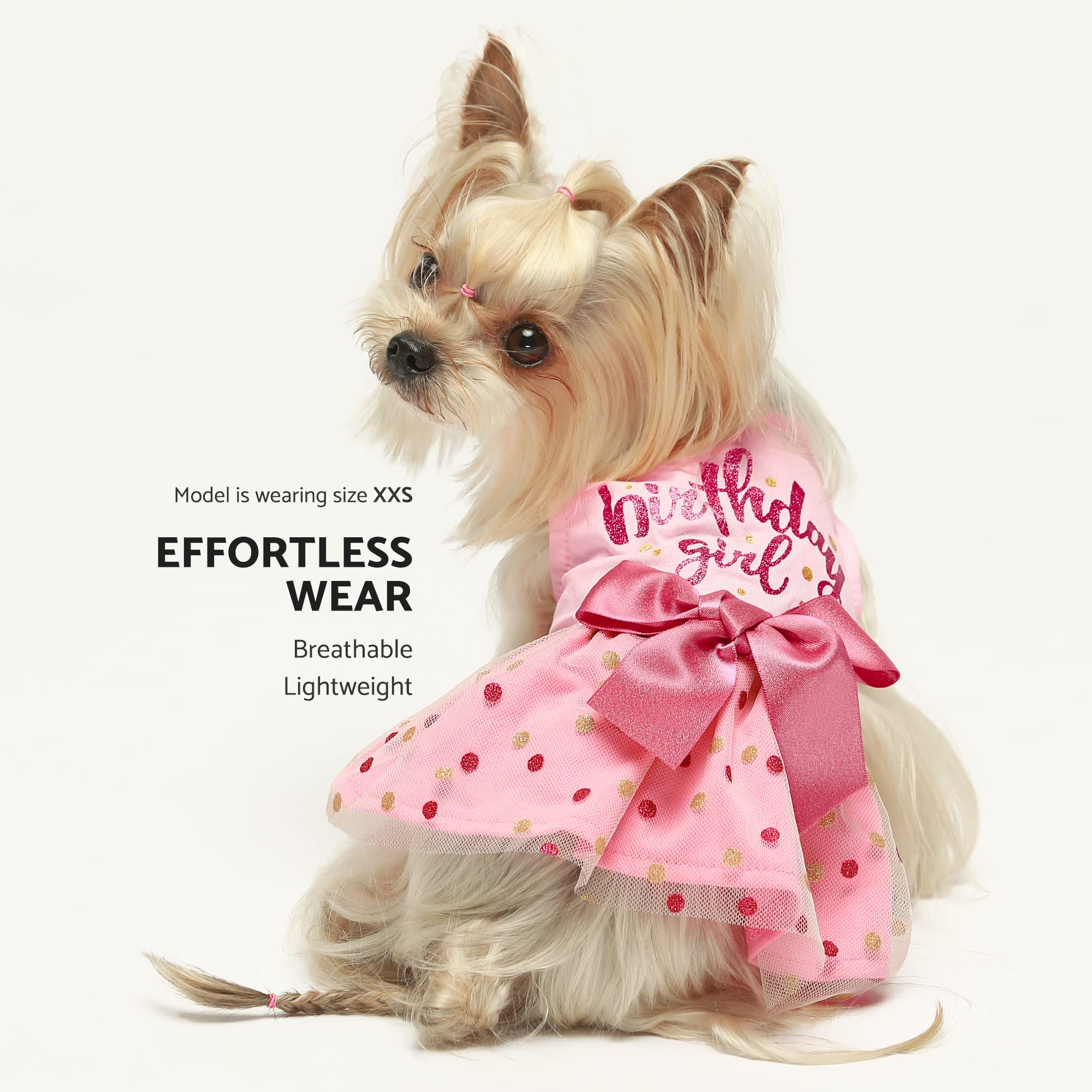 Fitwarm Birthday Girl Dog Tulle Dress, Dog Clothes For Small Dogs Girl, Cat Apparel, Pink, Medium