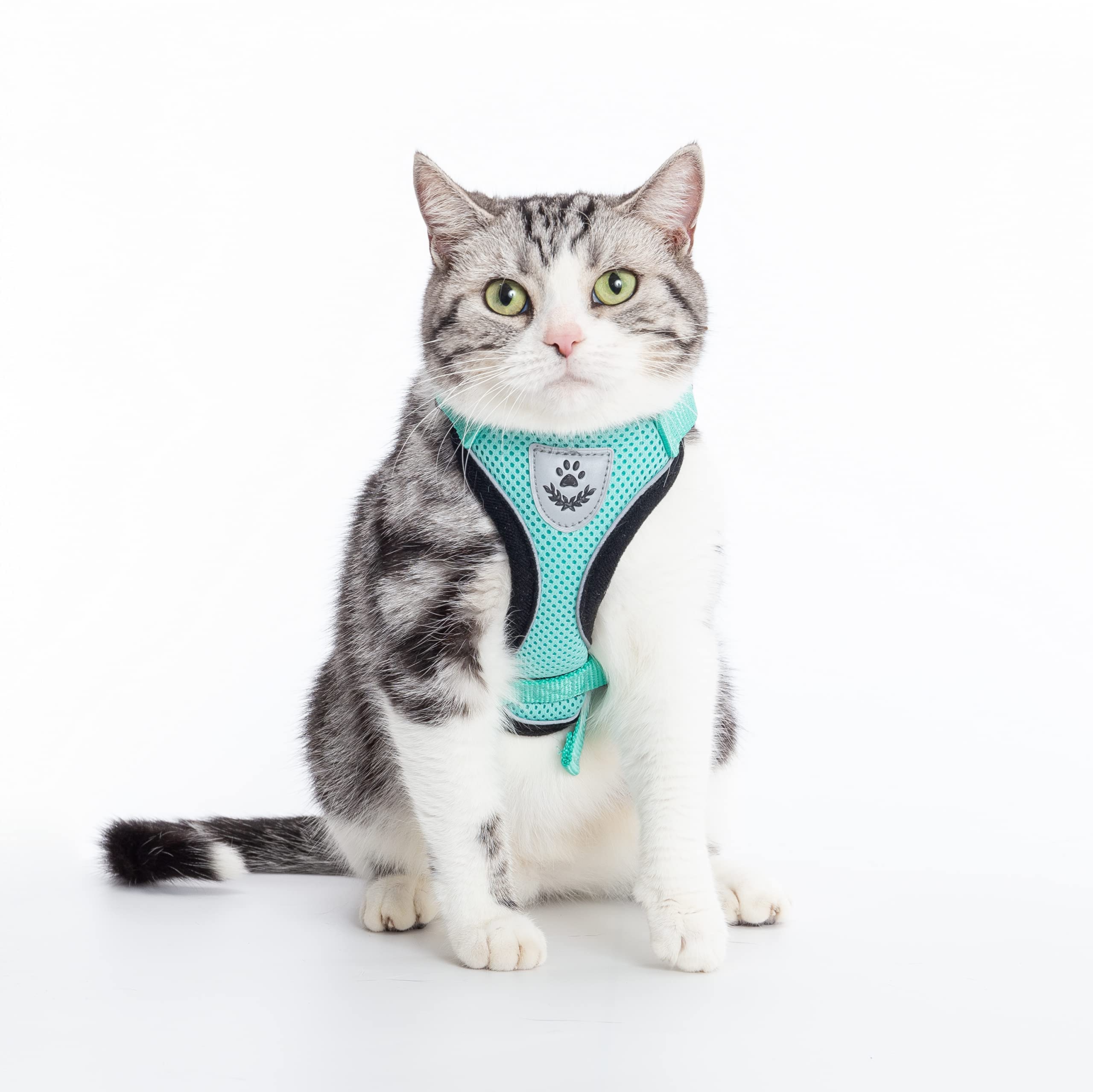 Pupteck Cat Harness And Leash Set Escape Proof Reflective Cat Walking Harness Adjustable Soft Breathable Mesh Vest For Small Pet