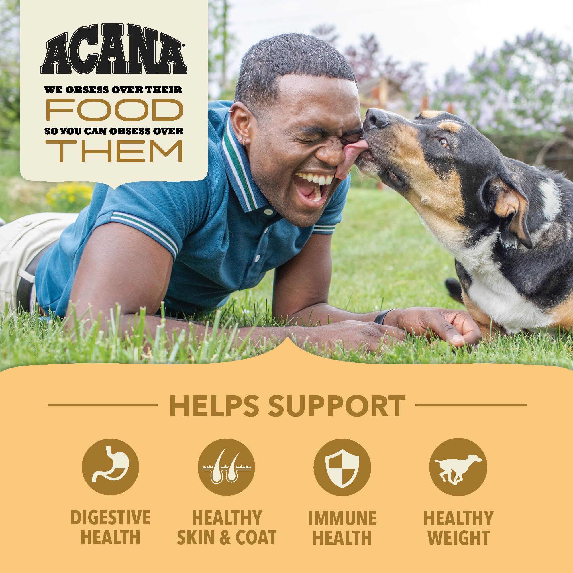 ACANA Wholesome Grains Dry Dog Food, Free-Run Poultry, Real Chicken & Turkey and Eggs Dog Food Recipe, 22.5lb