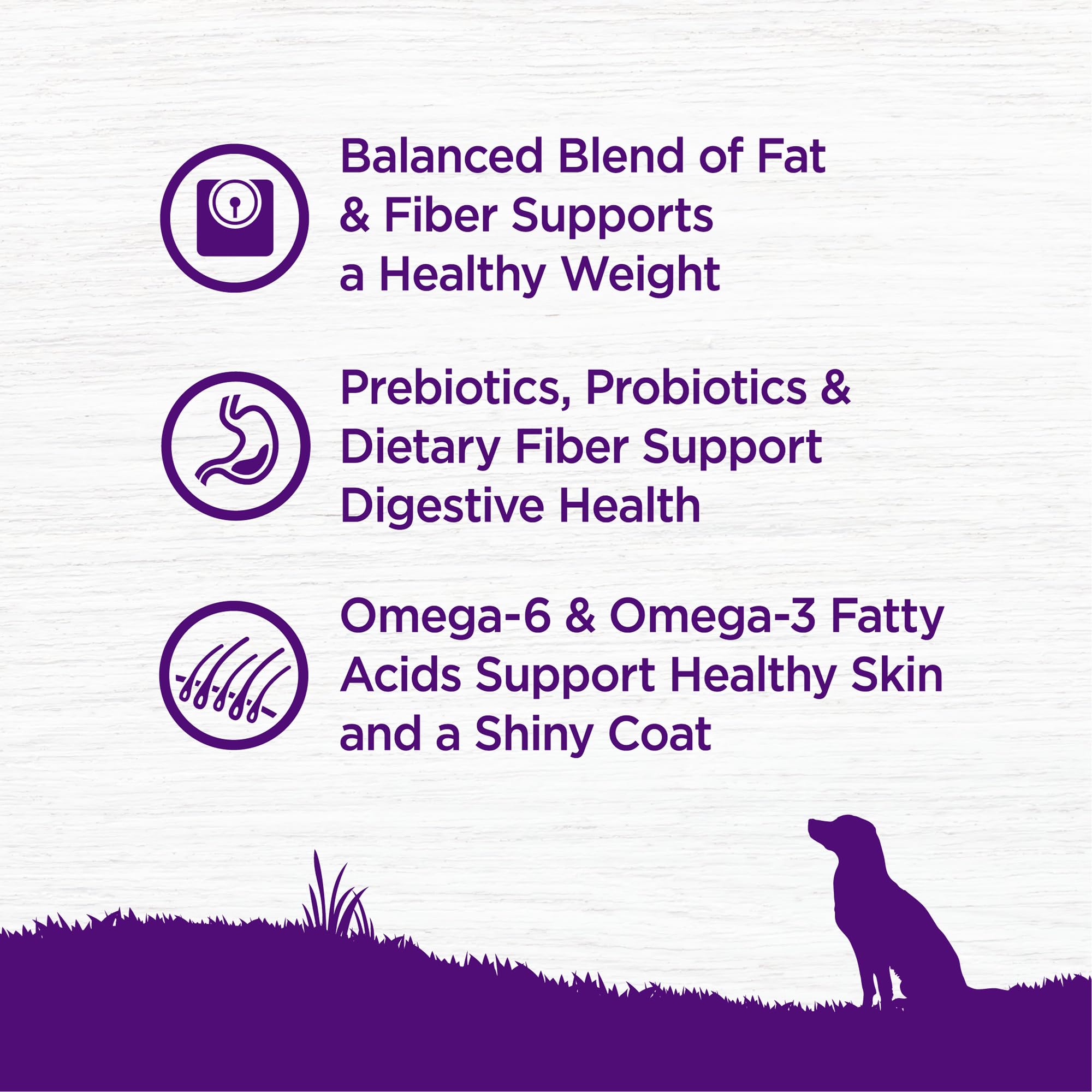 Wellness Complete Health Dry Dog Food with Grains, Natural Ingredients, Made in USA with Real Meat, All Breeds, For Adult Dogs (