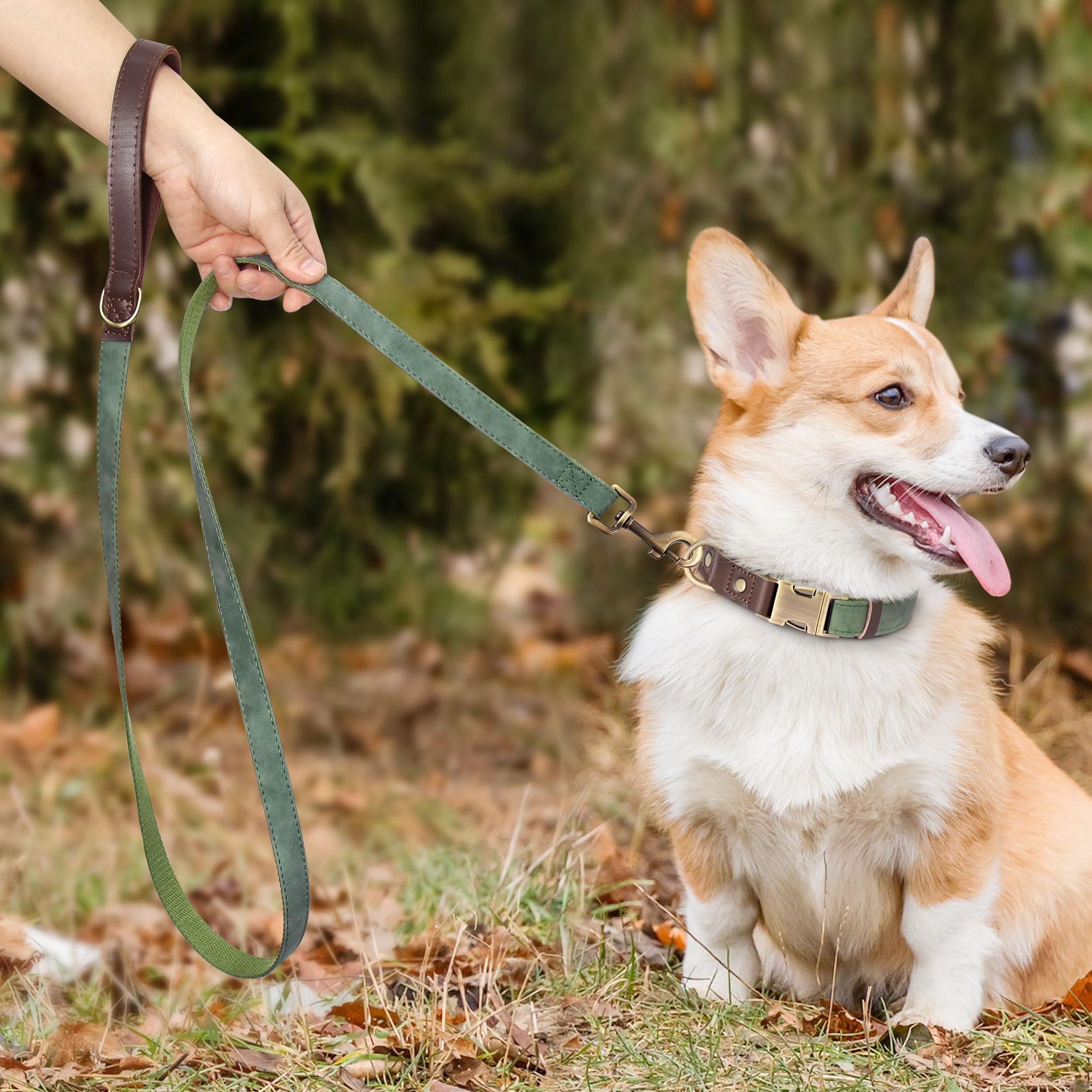 Didog Soft Padded Leather Dog Collar For Large Dogs,Classic Heavy Duty Dog Collars Adjustable With Quick Release Metal Buckle,Gr