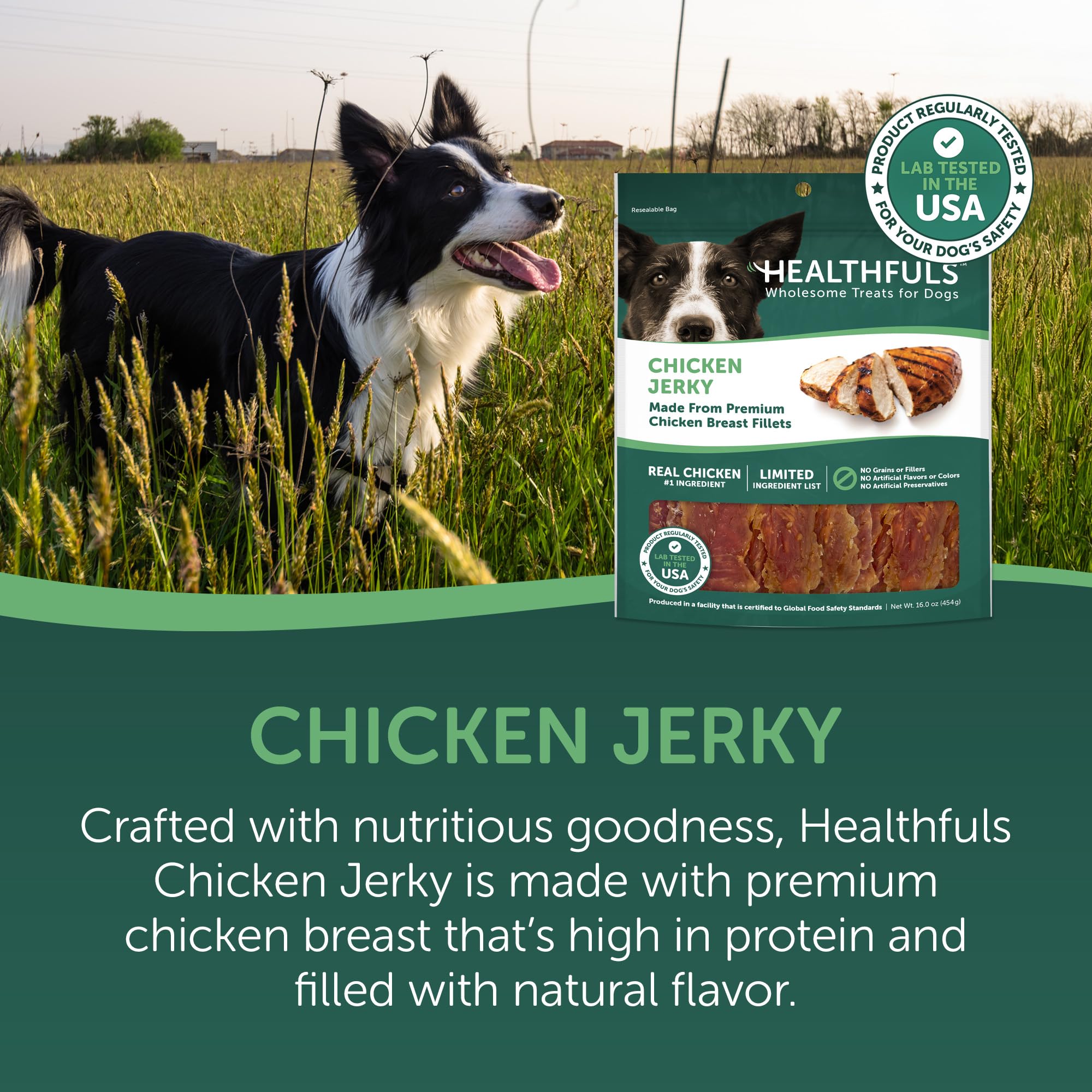 Healthfuls Chicken Jerky Dog Treats, 16oz