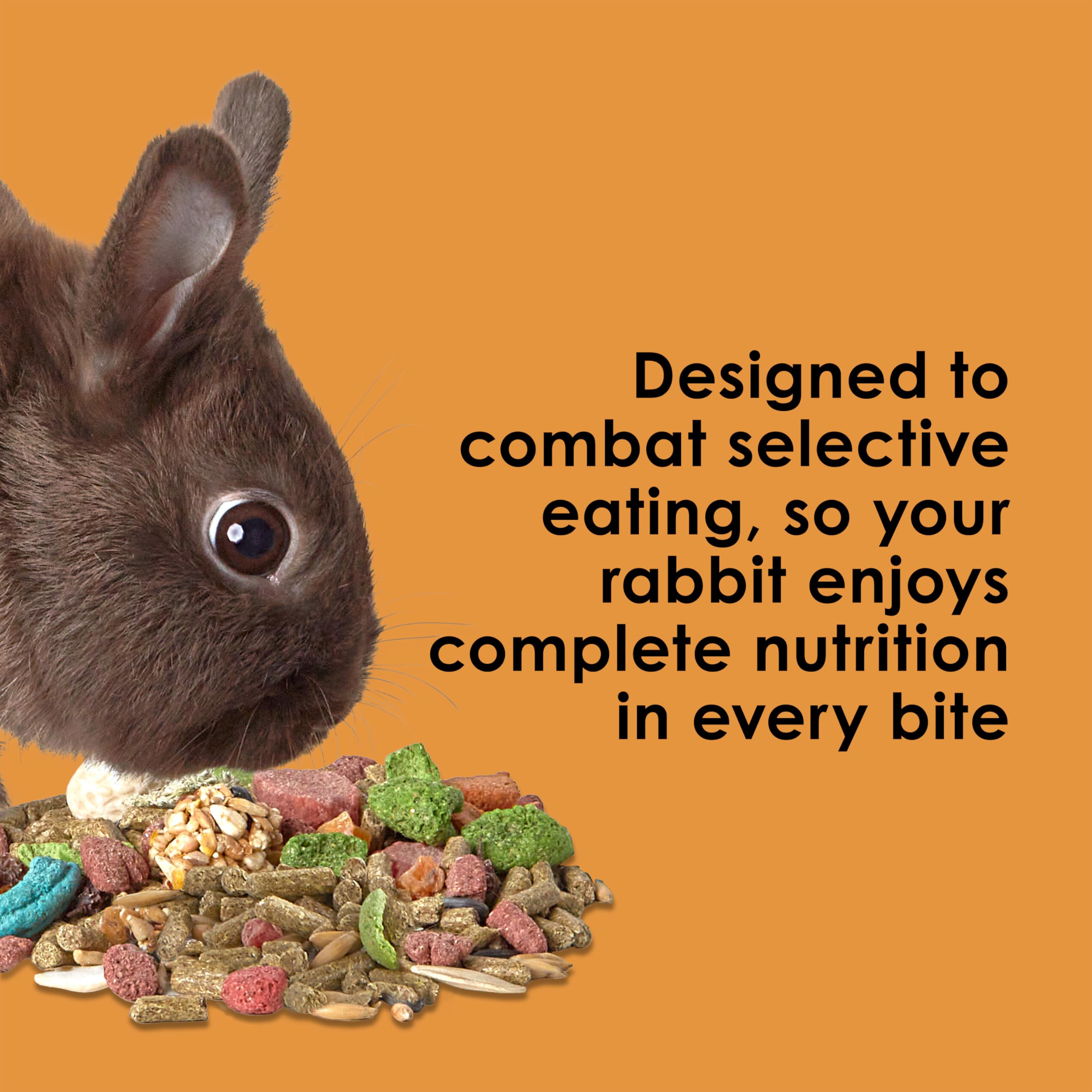 Kaytee Fiesta Rabbit Food Flavor Medley 25 Pounds