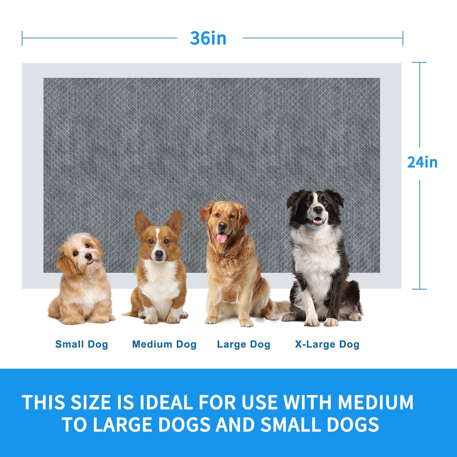 60pcs Charcoal Puppy Pads - Extra Large 24 x 36 Carbon Odor Control, 6-Layer Leak-Proof & Quick Dry Dog Training Pads