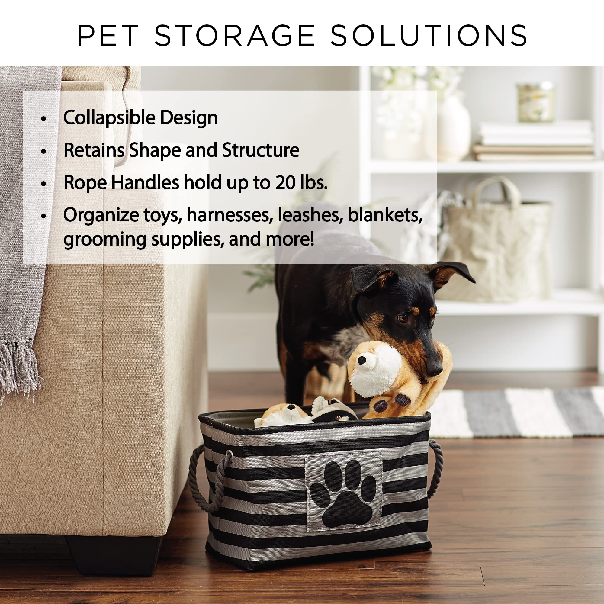 Bone Dry Pet Storage Collection Paw and Bone Print, Medium Rectangle, 16x10x12, Rose