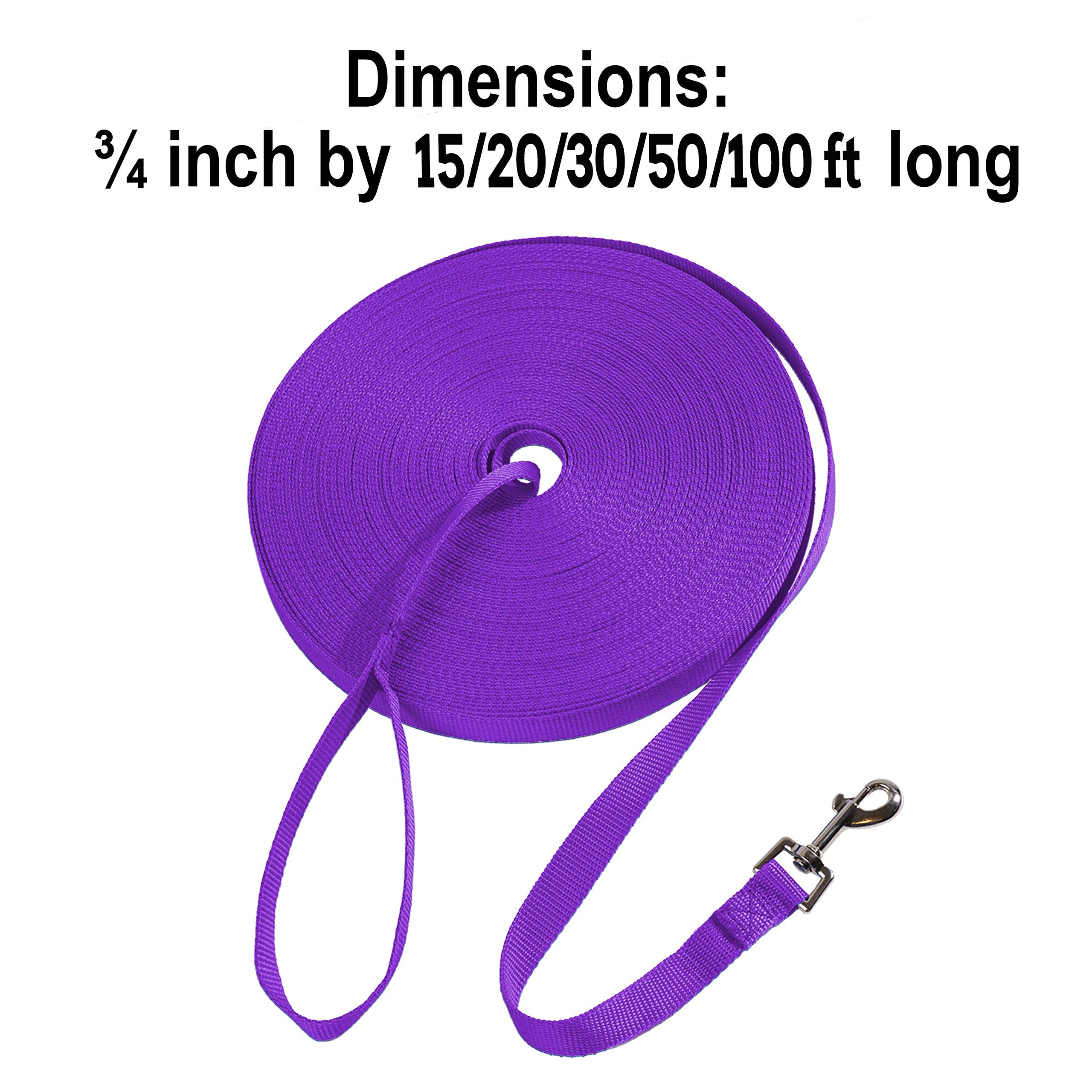 Hi Kiss Dog/Puppy Obedience Recall Training Agility Lead - 15Ft 20Ft 30Ft 50Ft 100Ft Training Leash - Great For Training, Play, Camping, Or Backyard Purple 100 Feet