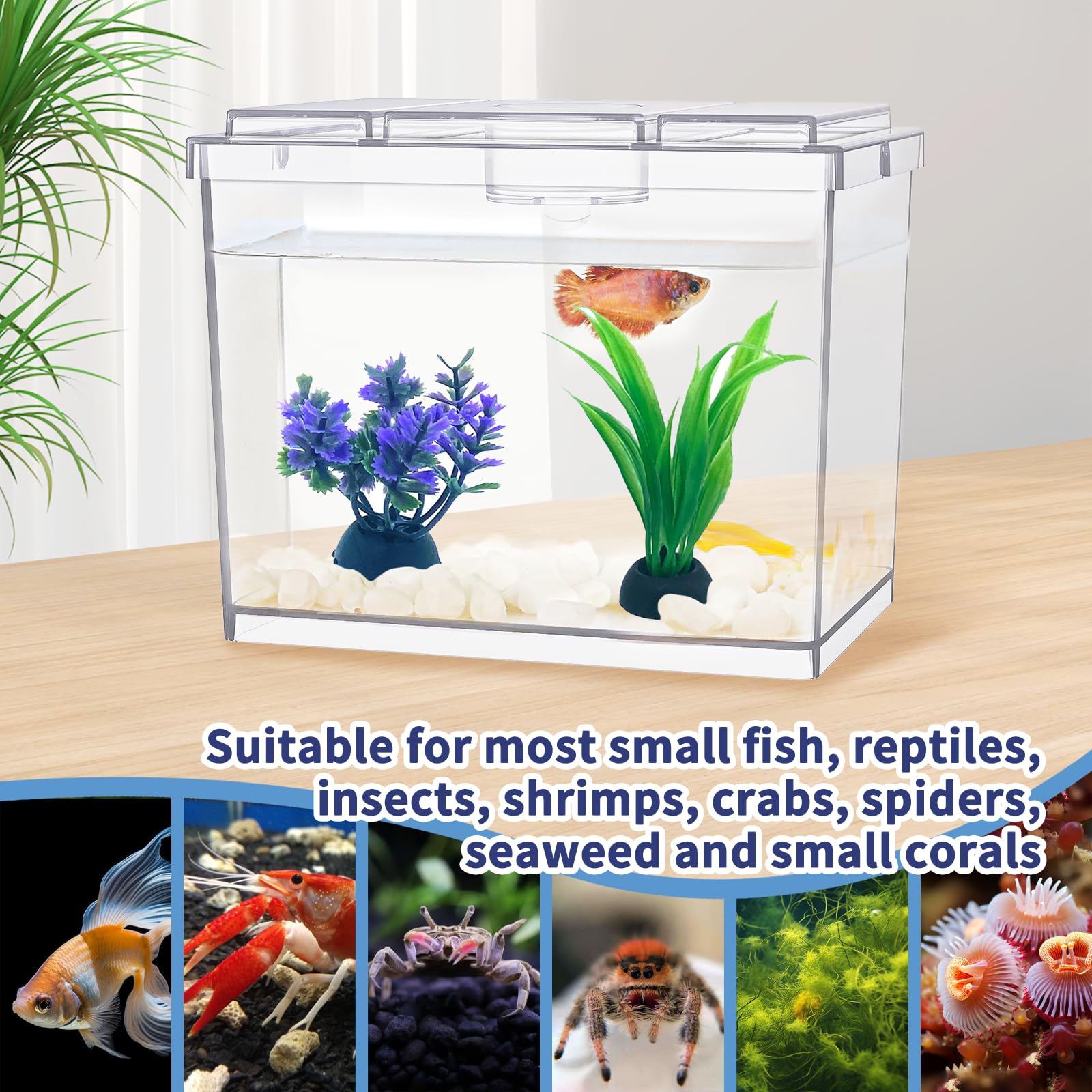 Moonorange Mini Betta Fish Tank, Small Fish Bowl For Temporary Space, 0.2 Gallon Stackable Cube Tank With Artificial Plants And