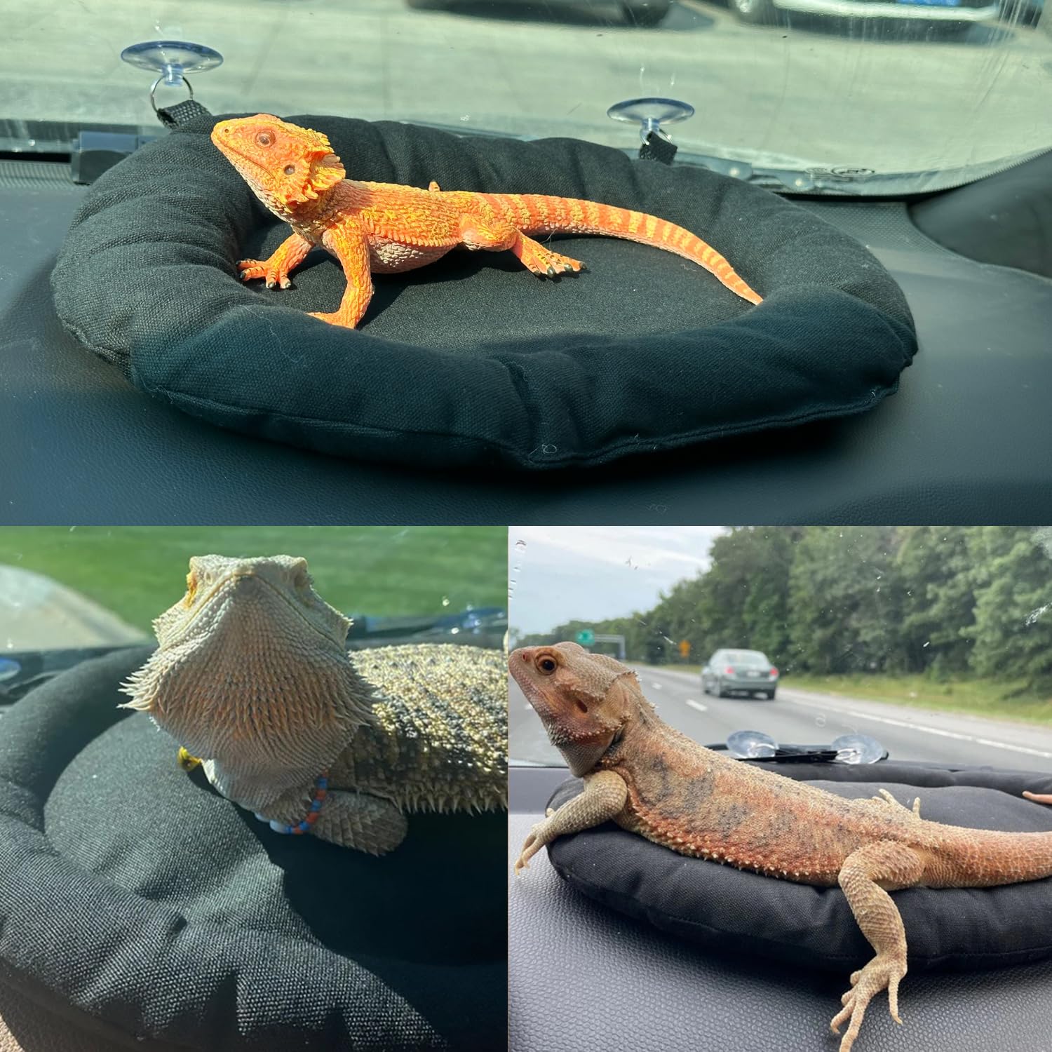 Bearded Dragon Travel Carrier Lizard Car Soft Mat Hammock With Suction Cup Washable Reptile Tank Accessories For Small Animals H