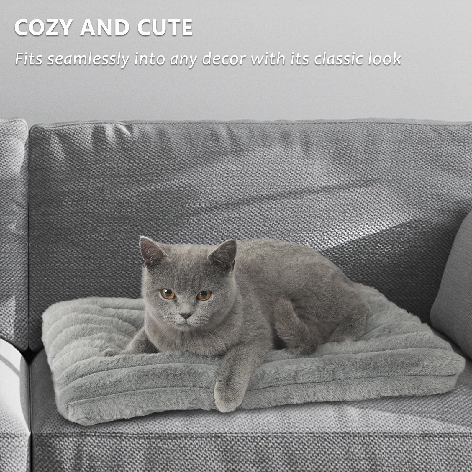Extra Small Dog Crate Pad 18 X 12 Dog Beds For Tiny Dogs Deluxe Corduroy Fleece Fluffy Comfy Kennel Pad Washable Cute Flat Cat B