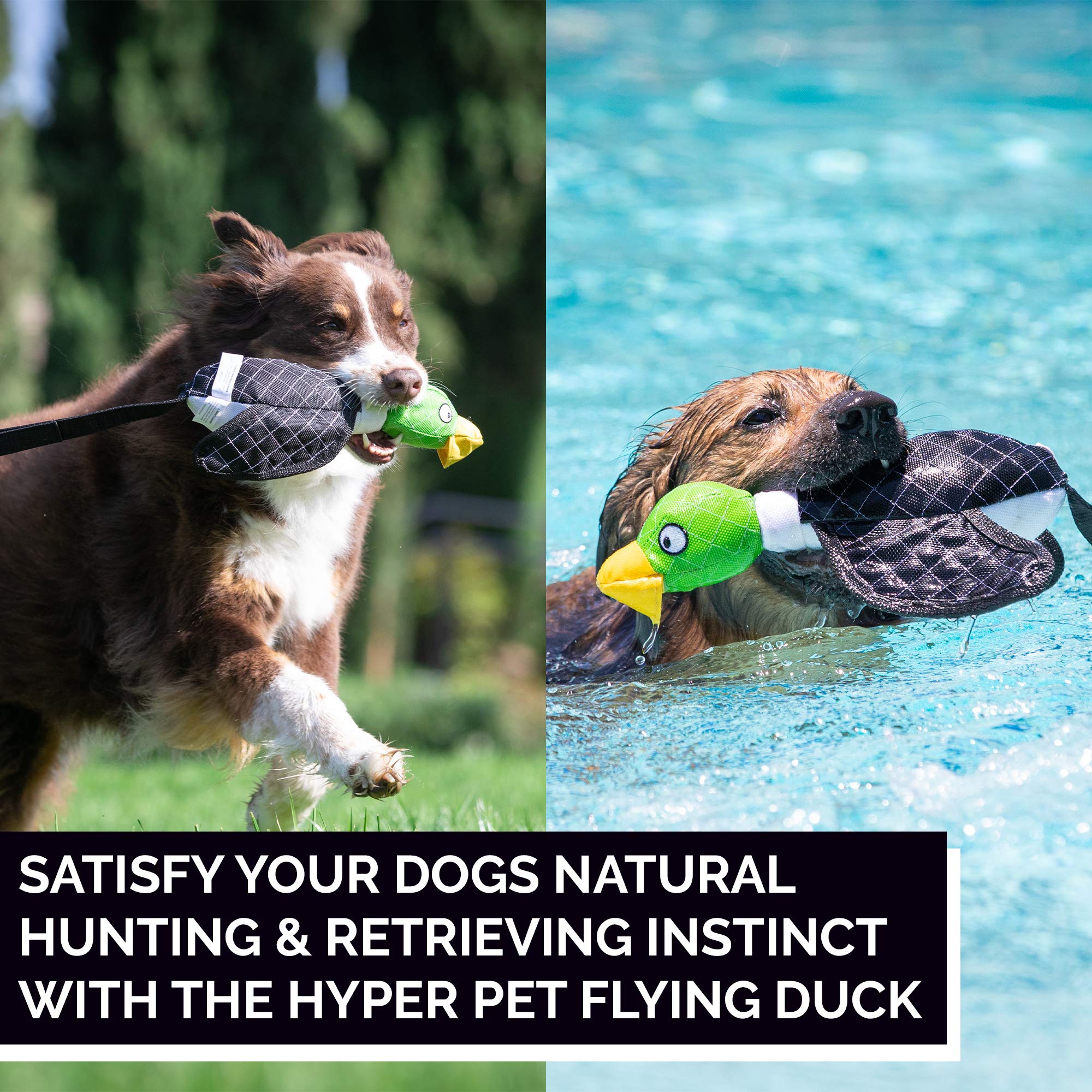Hyper Pet Flying Series Interactive Dog Toys - Large Duck Slingshot Fetching Dog Toy - Floats On Water